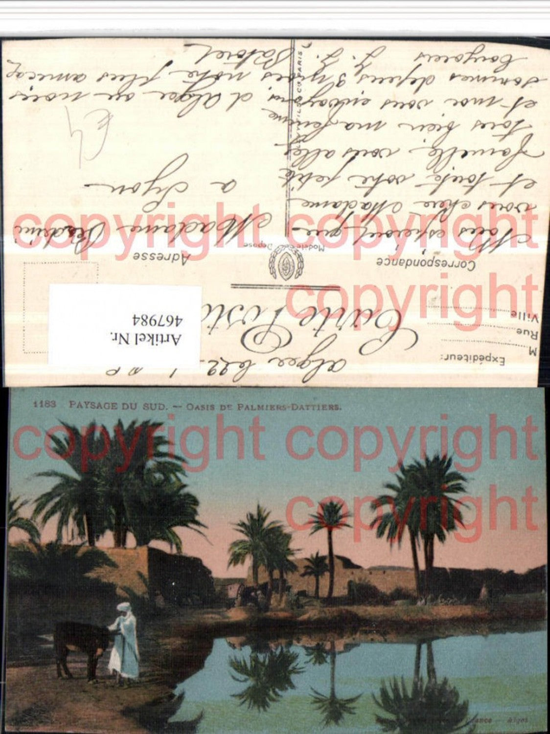 467984,Algeria Paysage du Sud Oasis de Palmiers-Dattiers Oase Palmen
