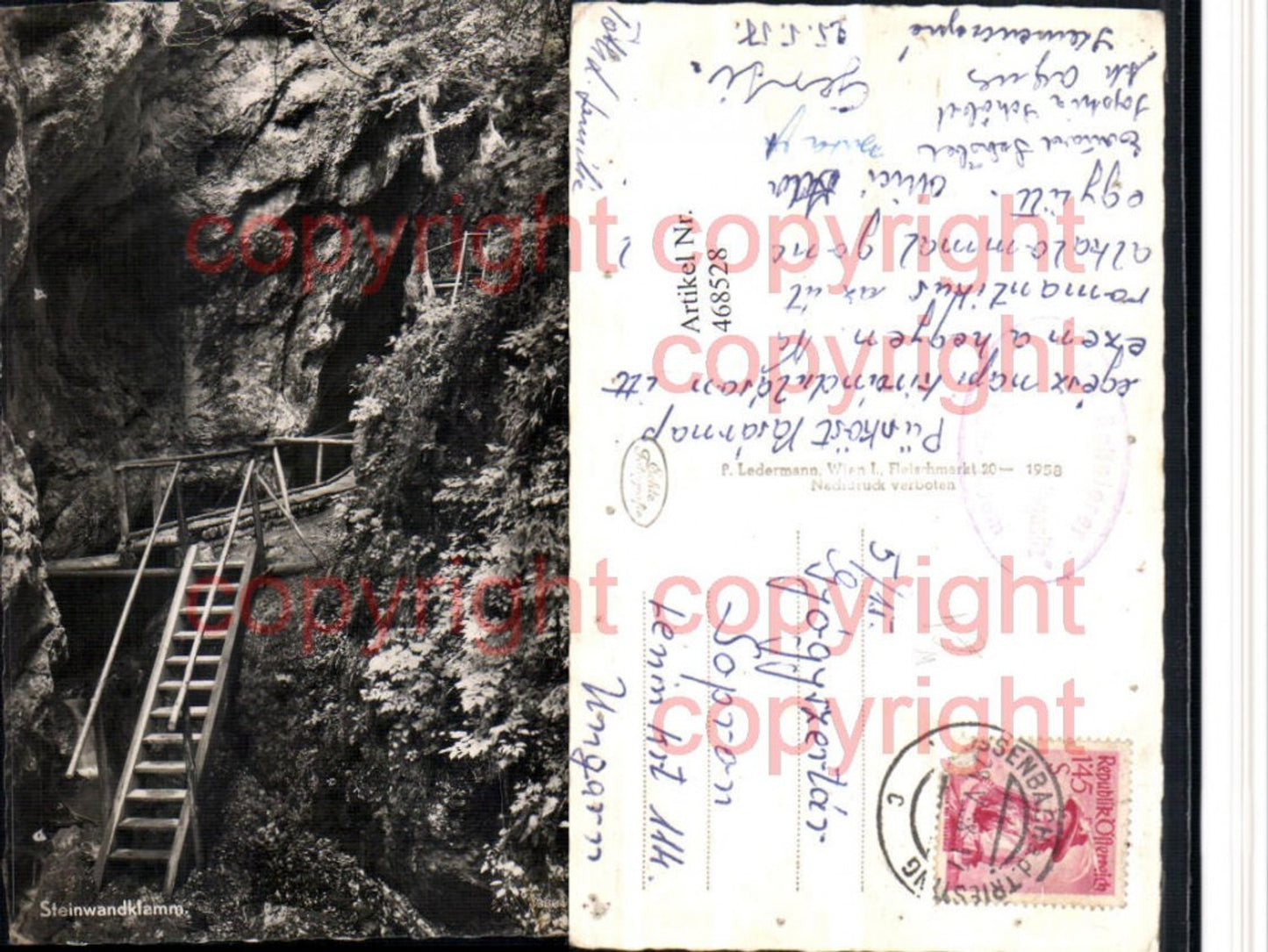 468528,Steinwandklamm Klamm b. Weissenbach an d. Triesting Leiter