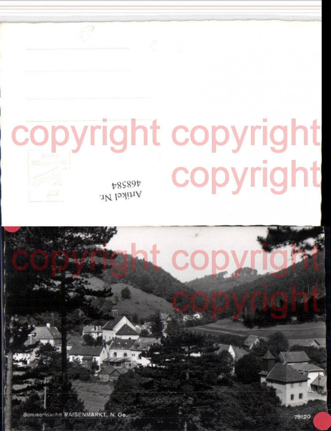 468584,Raisenmarkt bei Alland Totale