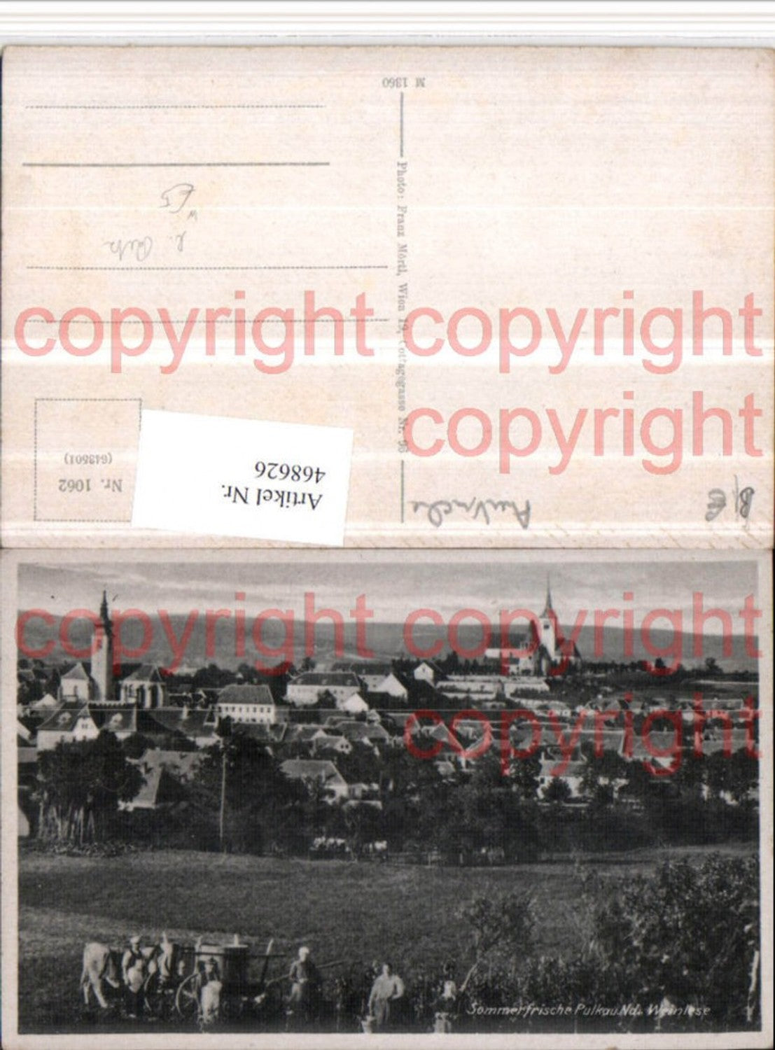 468626,Pulkau Totale Weinlese