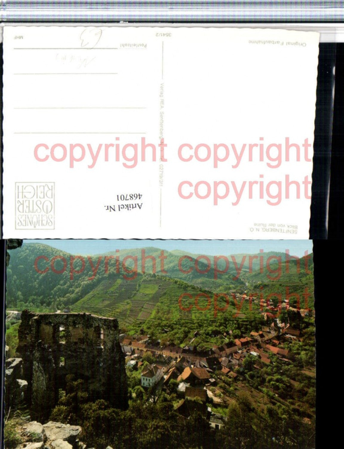 468701,Senftenberg Totale von d. Ruine