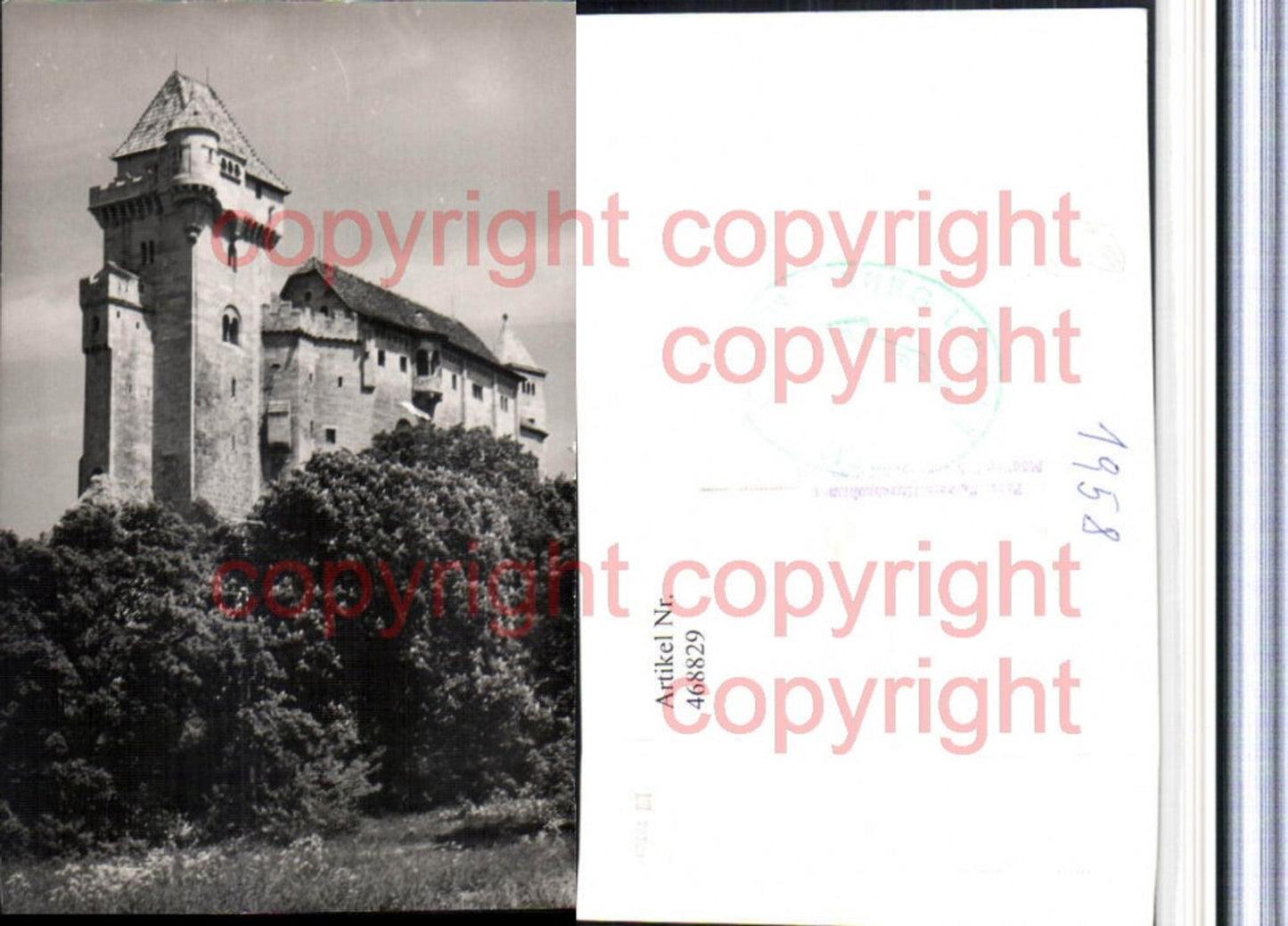 468829,Burg Liechtenstein b. Maria Enzersdorf