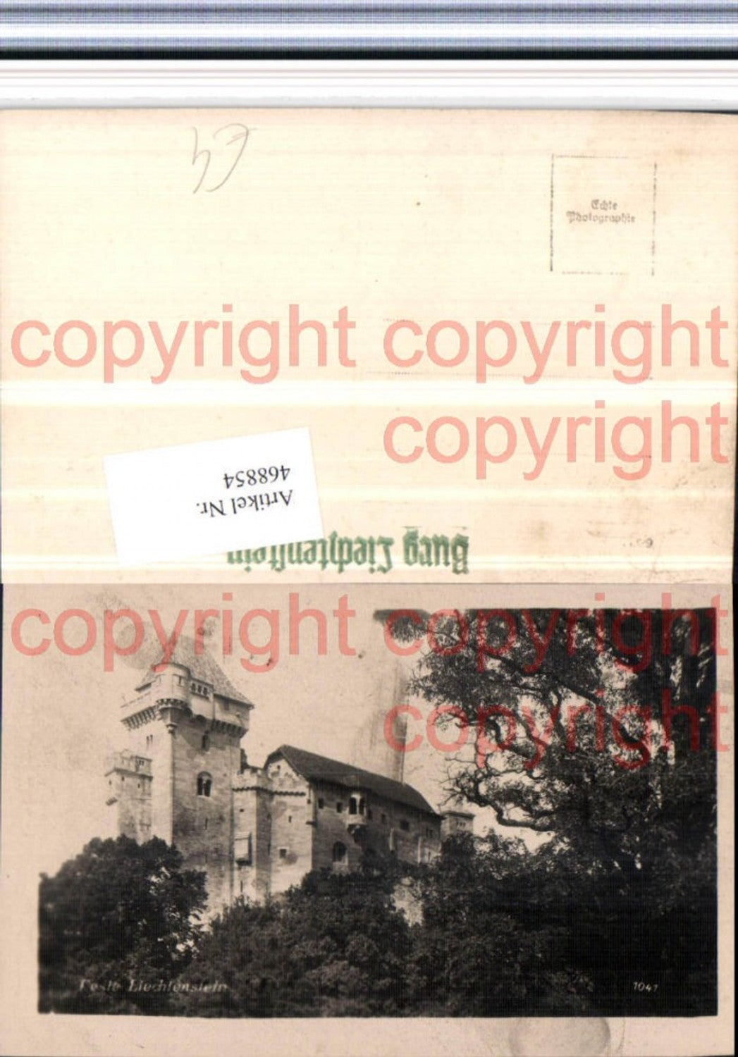468854,Feste Burg Liechtenstein b. Maria Enzersdorf