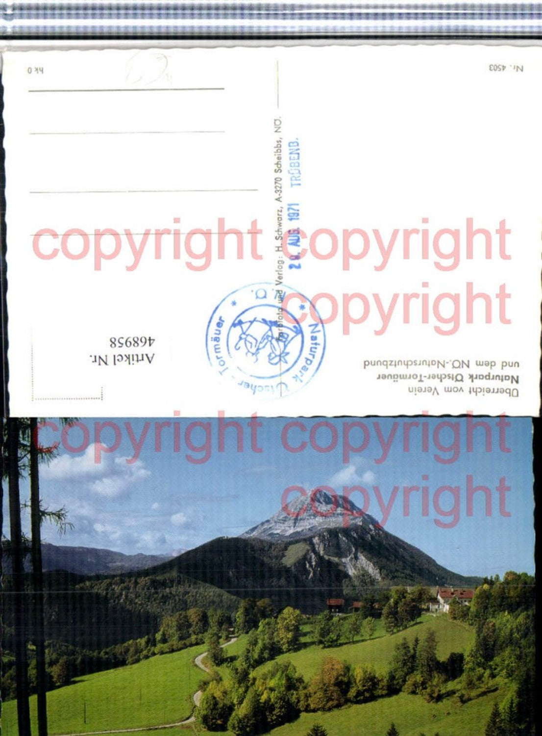 468958,Natupark Ötscher-Tormäuer b. Gaming Bergkulisse