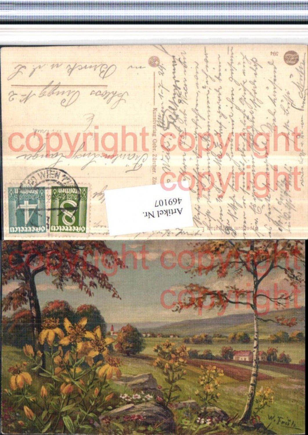 469107, Artist AK W. Früh Hypercium perforatum St. John's wort landscape