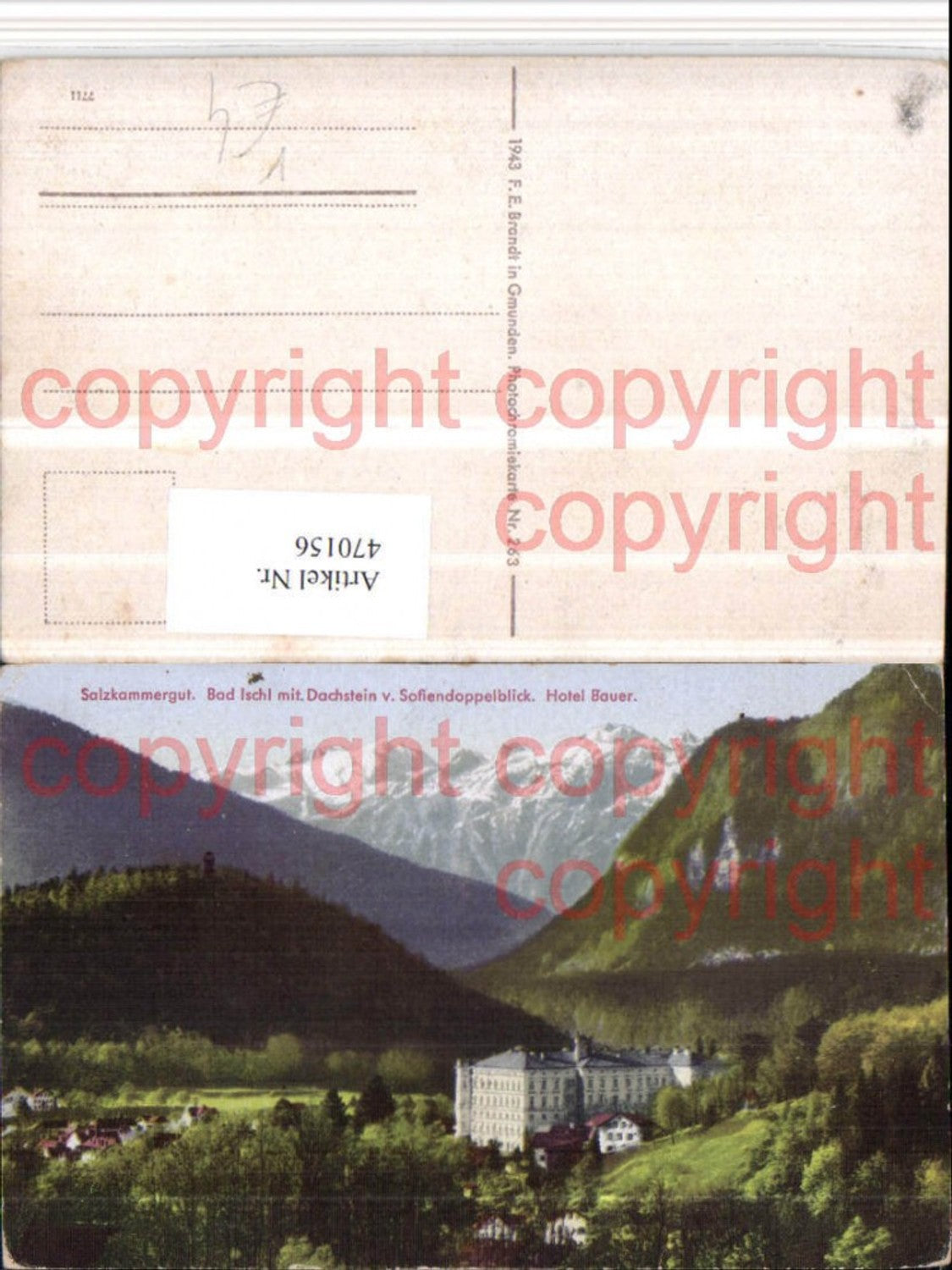 470156,Bad Ischl Hotel Bauer m. Dachstein Bergkulisse pub F. E. Brandt 263