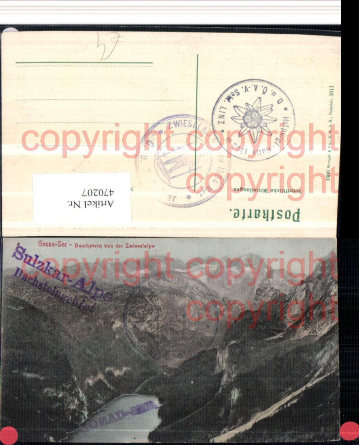 470207,Gosausee See b. Gosau m. Dachstein Bergkulisse