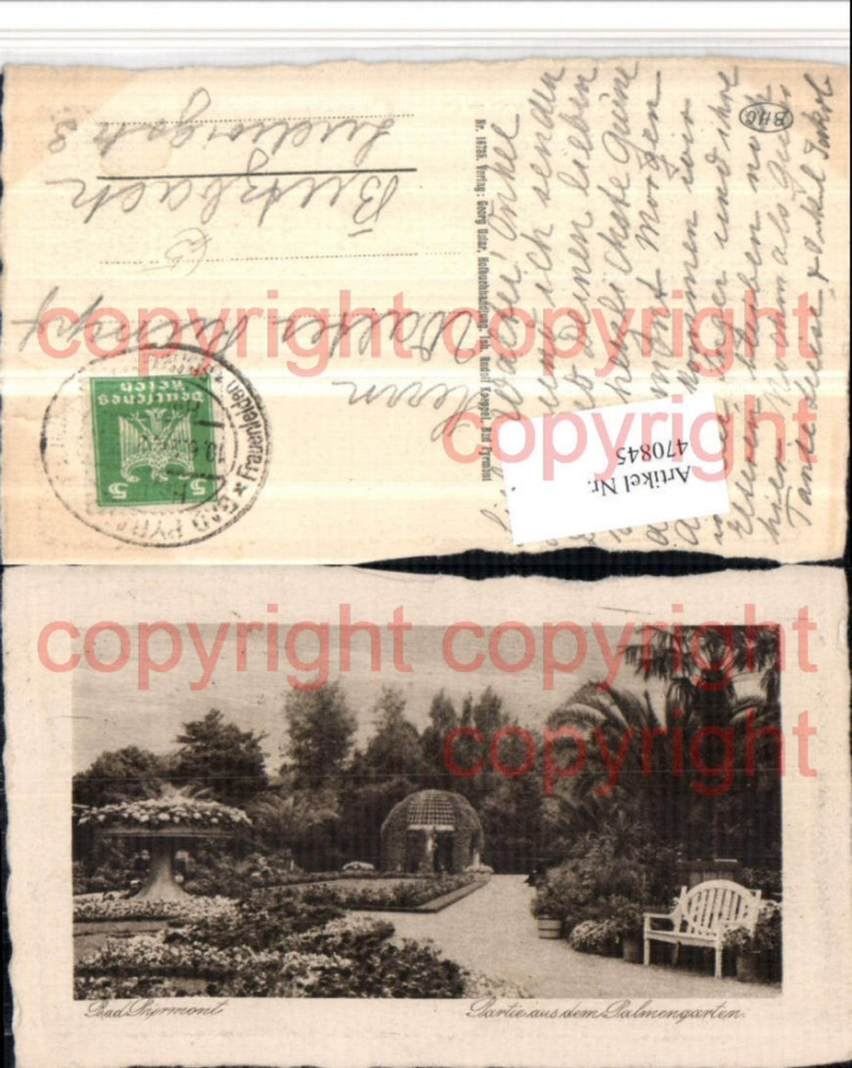 470845,Bad Pyrmont Partie aus dem Palmengarten