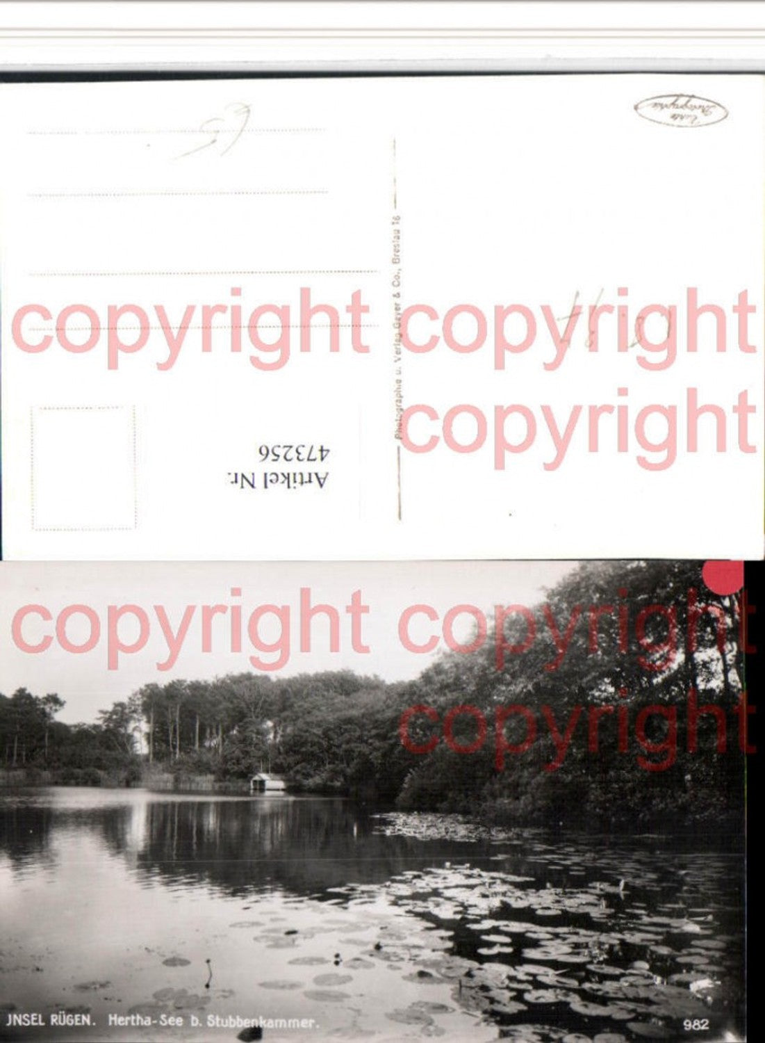 473256,Insel Rügen Hertha-See b. Stubbenkammer