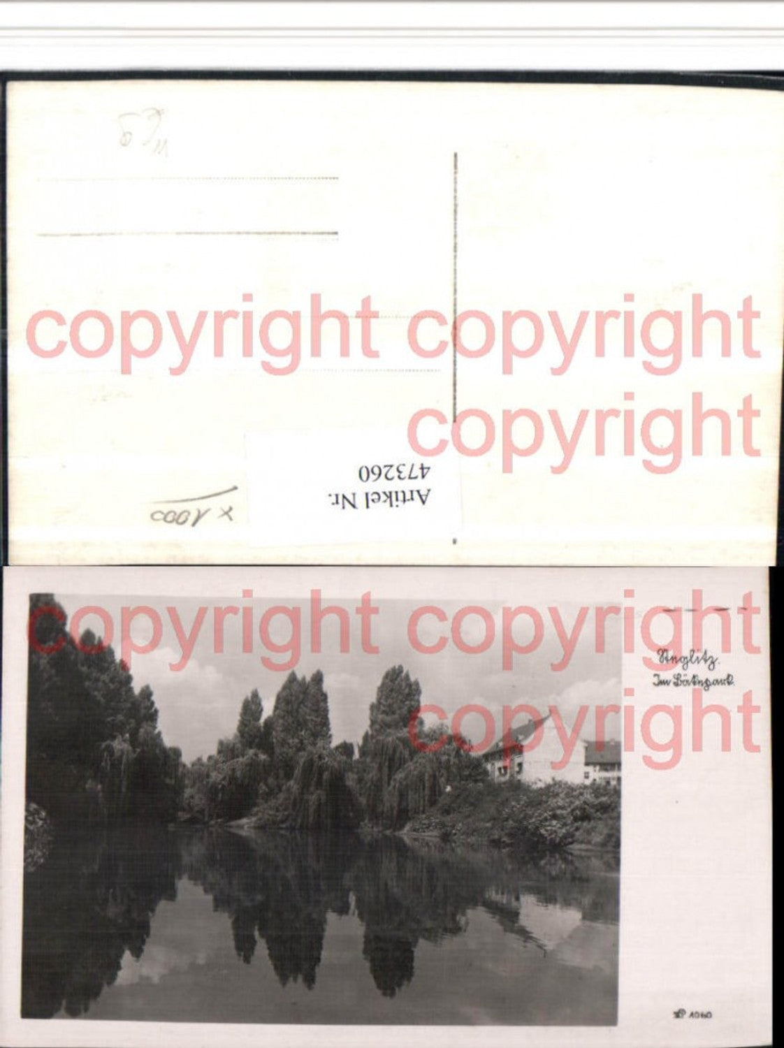 473260,Berlin Steglitz Bäkepark Teich Partie