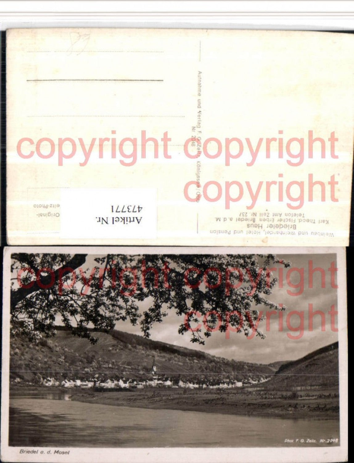 473771,Briedel an d. Mosel Totale Baumblüte