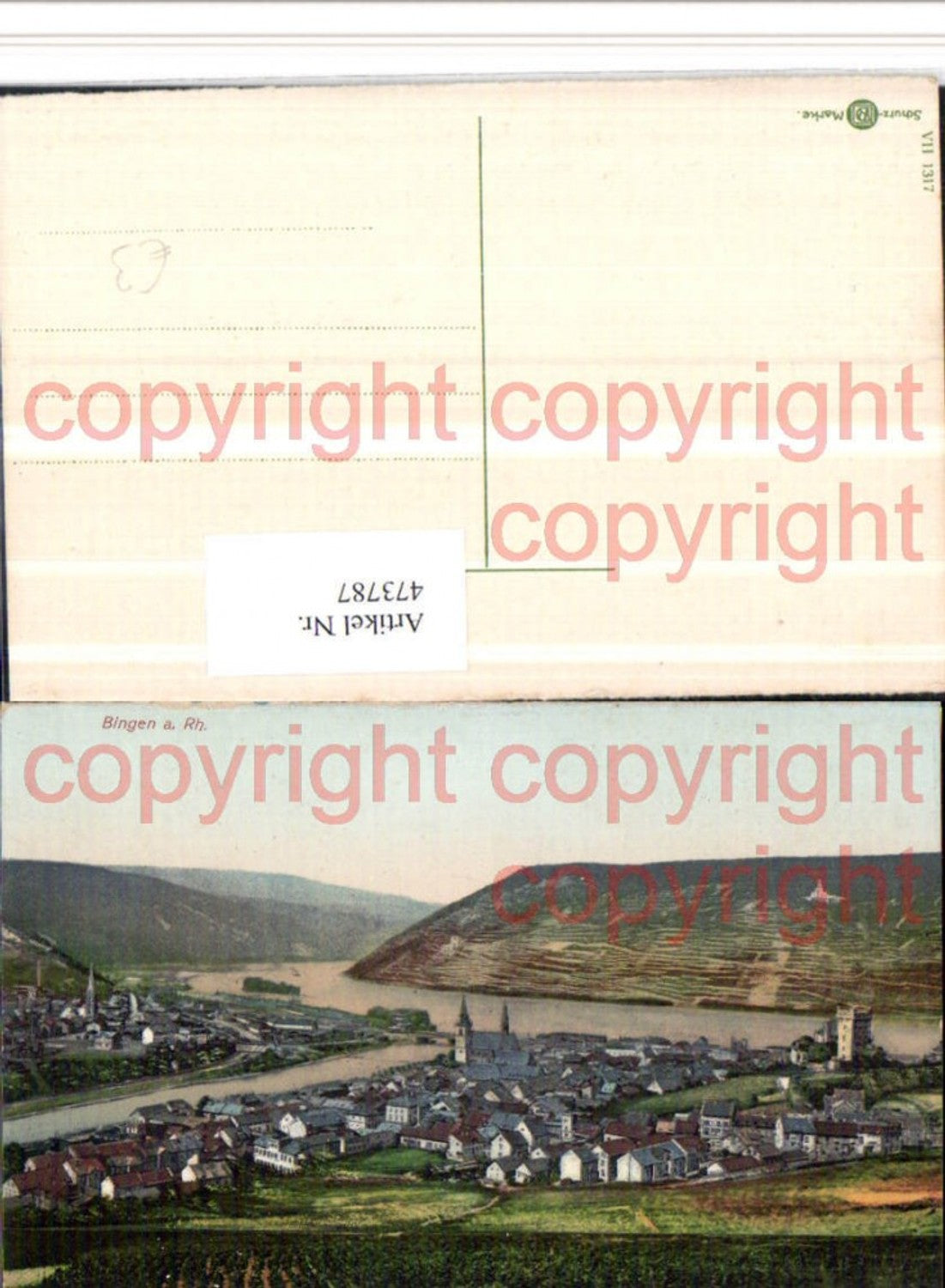 473787,Bingen am Rhein Totale