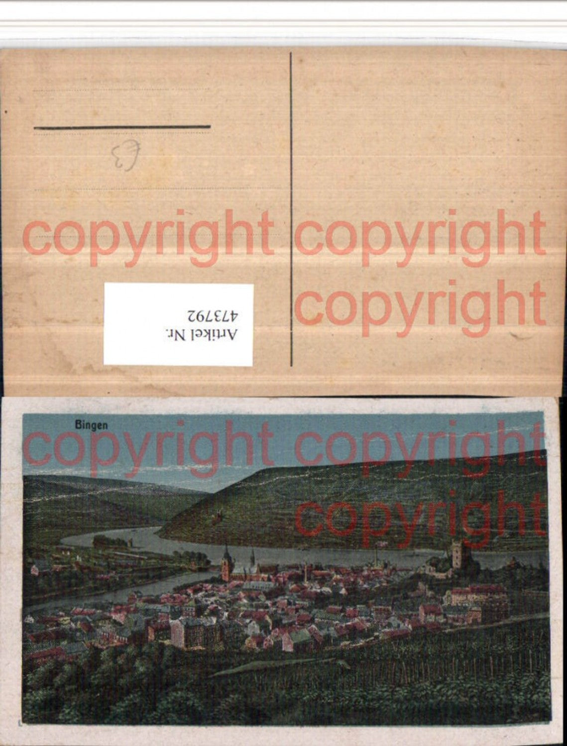 473792,Bingen am Rhein Totale