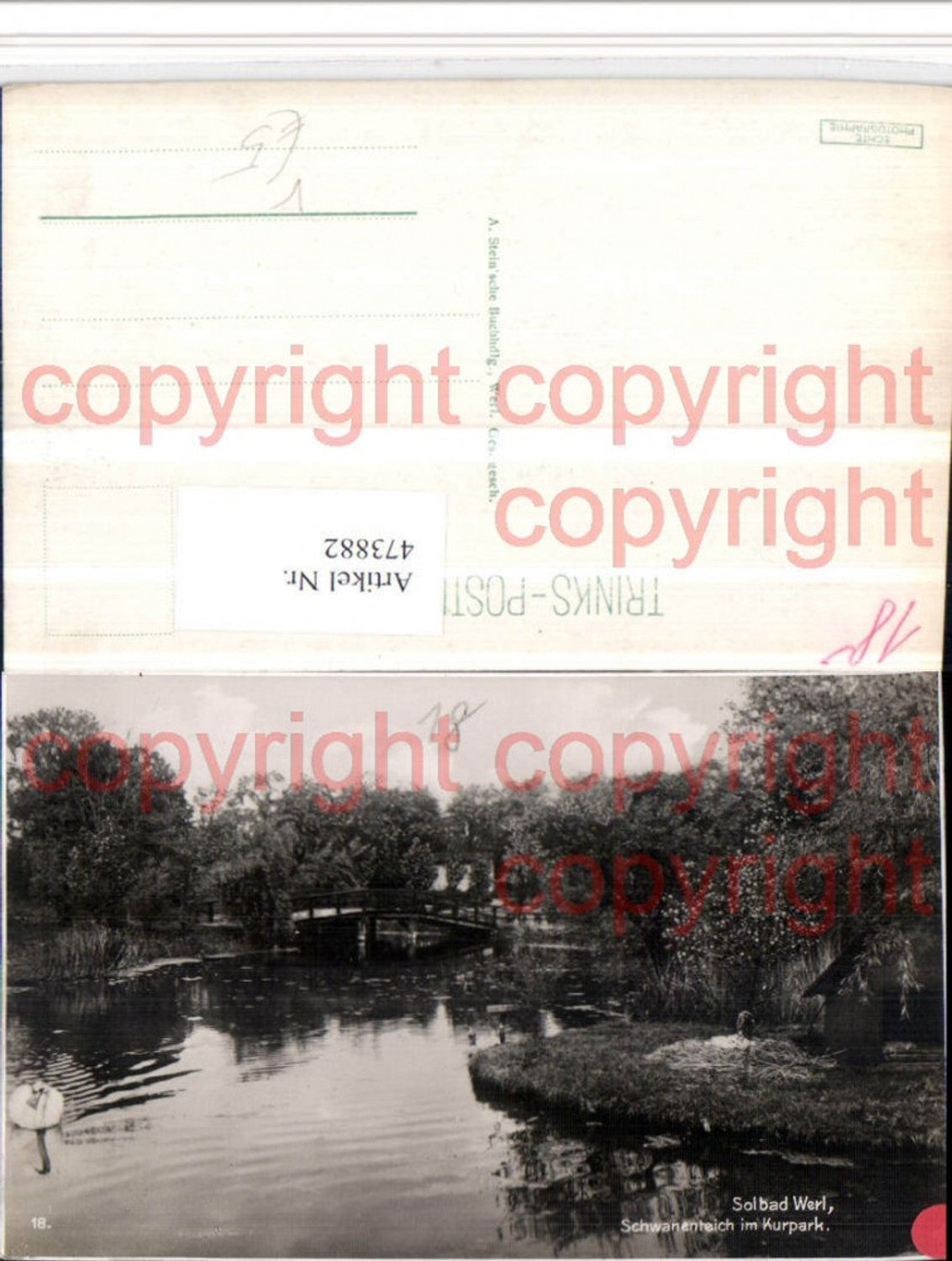 473882,Bad Werl Schwanenteich im Kurpark pub Trinks & Co 18