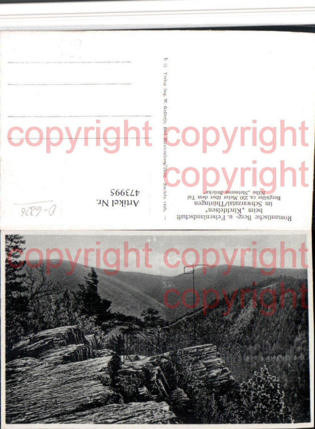 473995,Schwarzatal b. Schwarzburg Kirchfelsen Landschaft