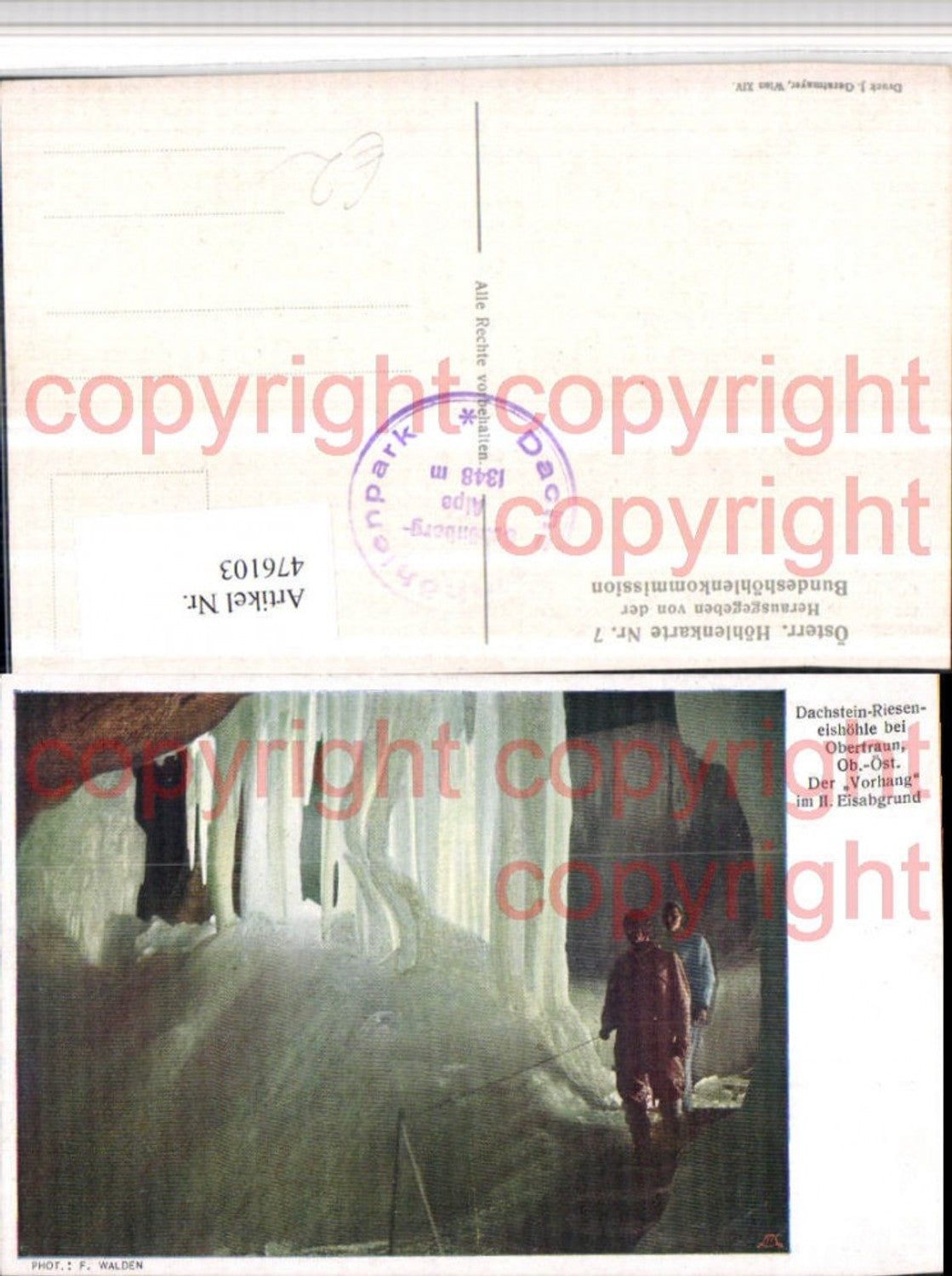476103,Dachstein-Rieseneishöhle b. Obertraun Vorhang im Eisabgrund