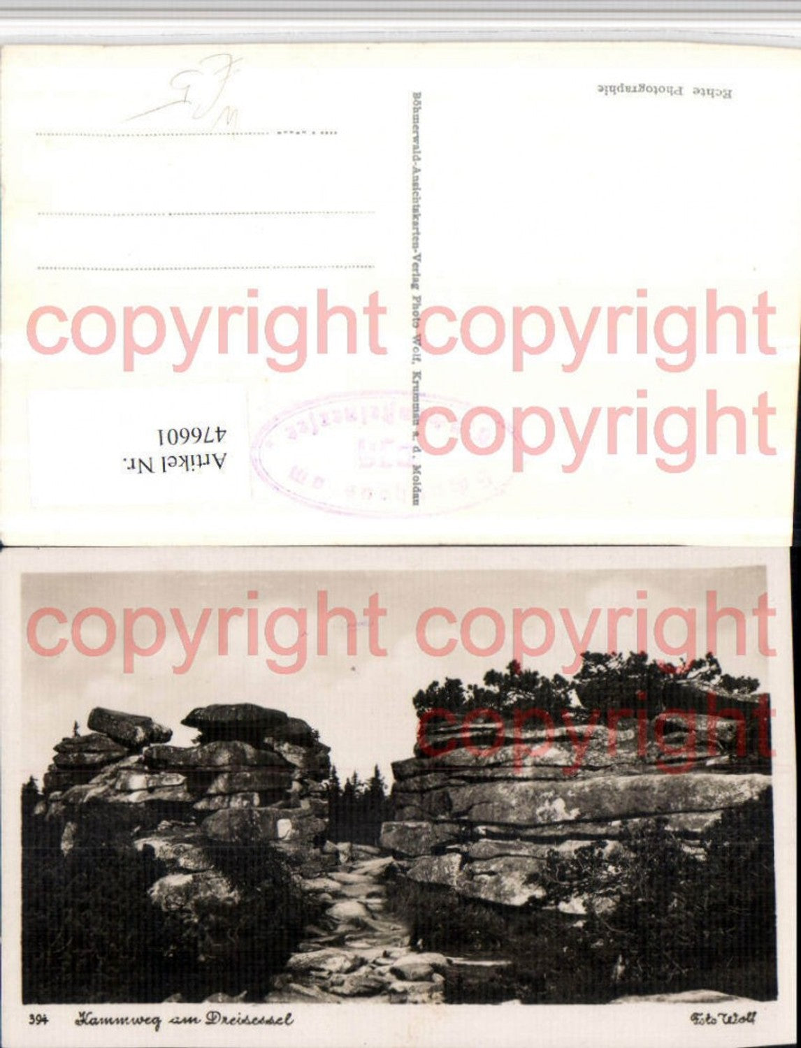 476601,Kammweg am Dreisessel b. Neureichenau pub Foto Wolf