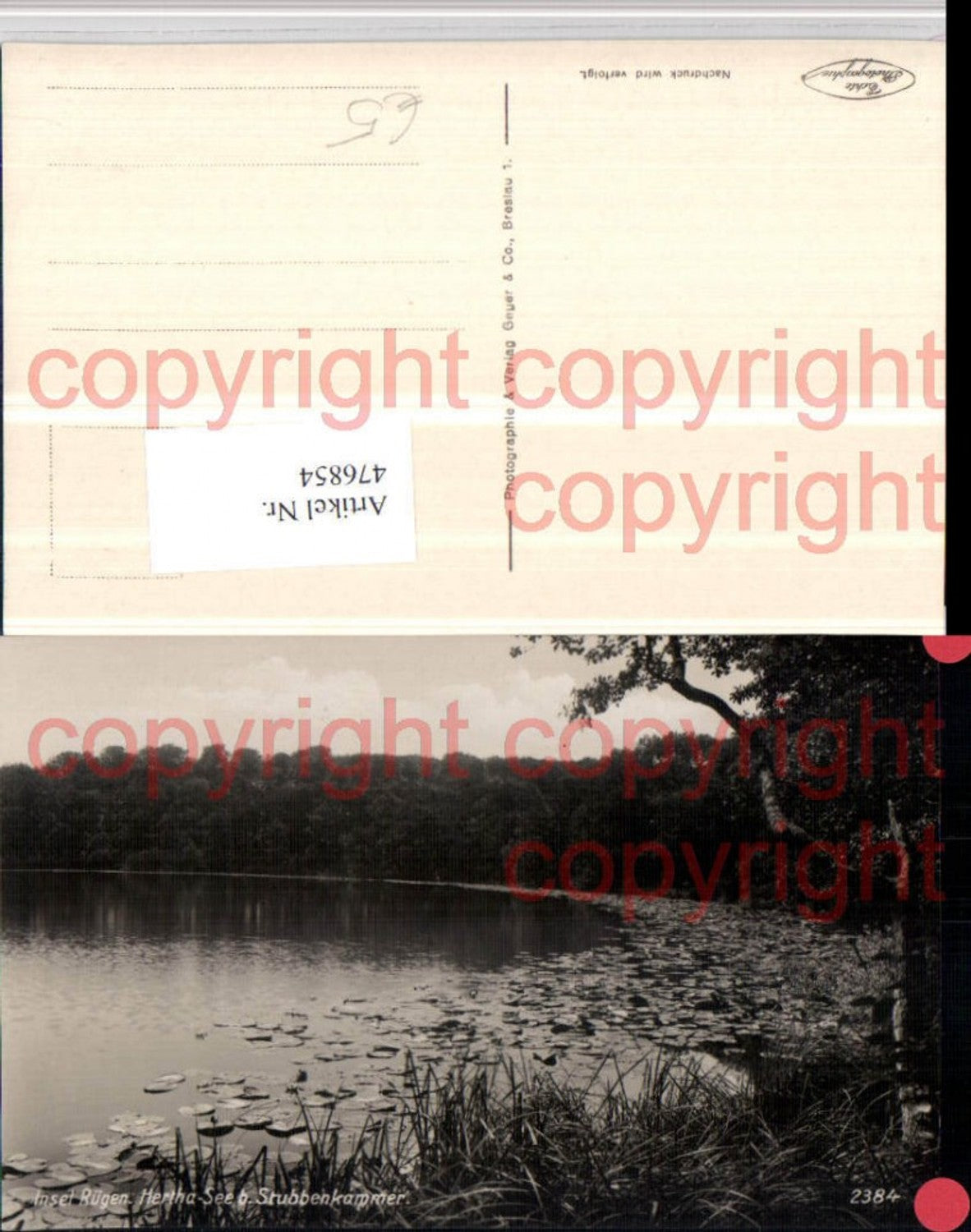 476854,Insel Rügen Hertha-See b. Stubbenkammer Partie