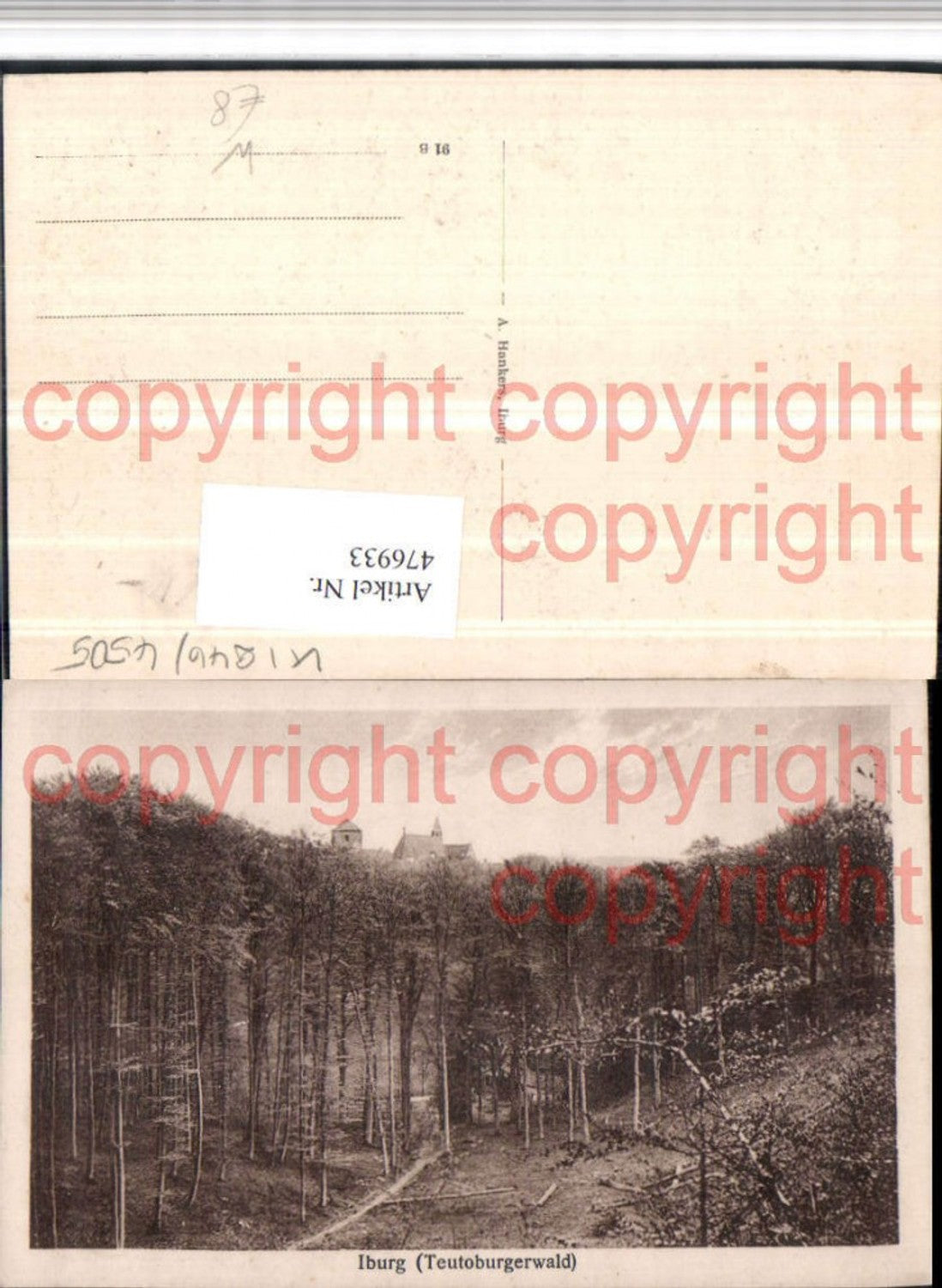 476933,Bad Iburg im Teutoburgerwald Wald Kirche