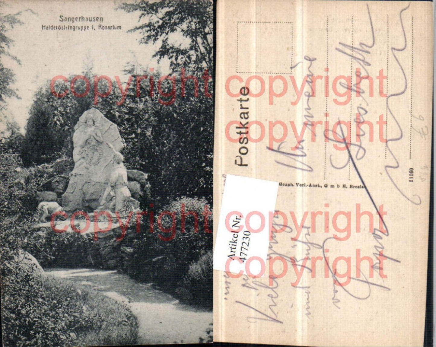 477230,Sangerhausen Haiderösleingruppe im Rosarium