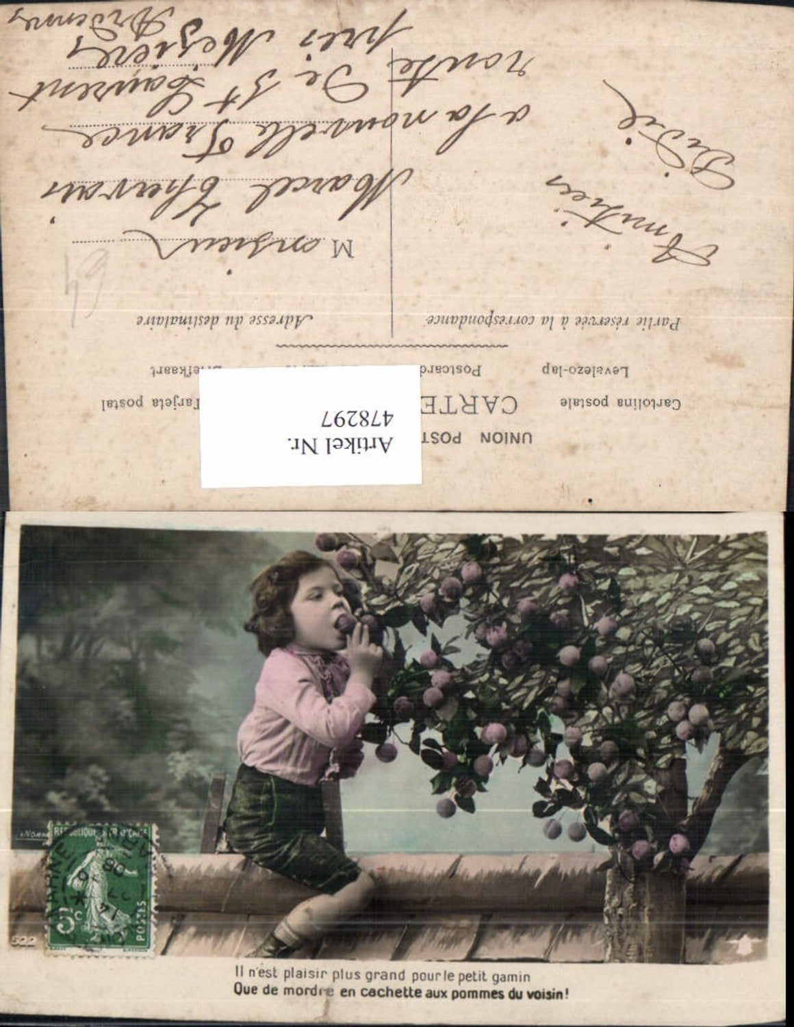 478297, Child boy sits on wall, ladder, tree, fruit tree, text, saying