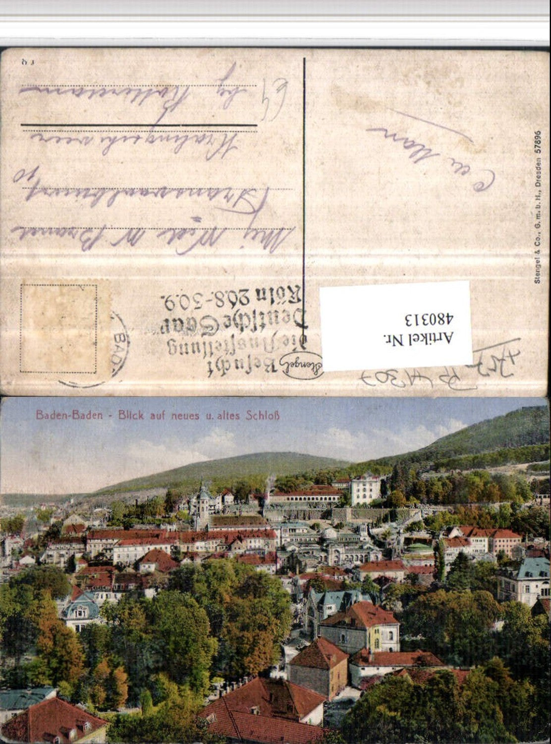 480313,Baden-Baden Totale m. Neuem u. Altem Schloss