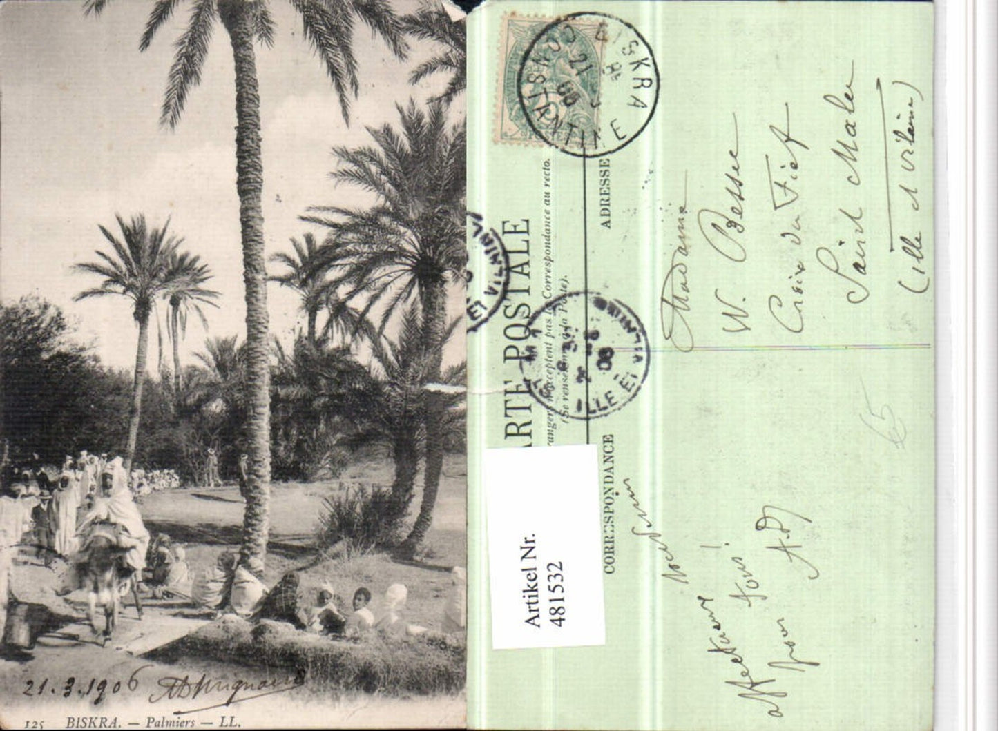 481532,Algeria Biskra Palmiers Palmen Volkstypen