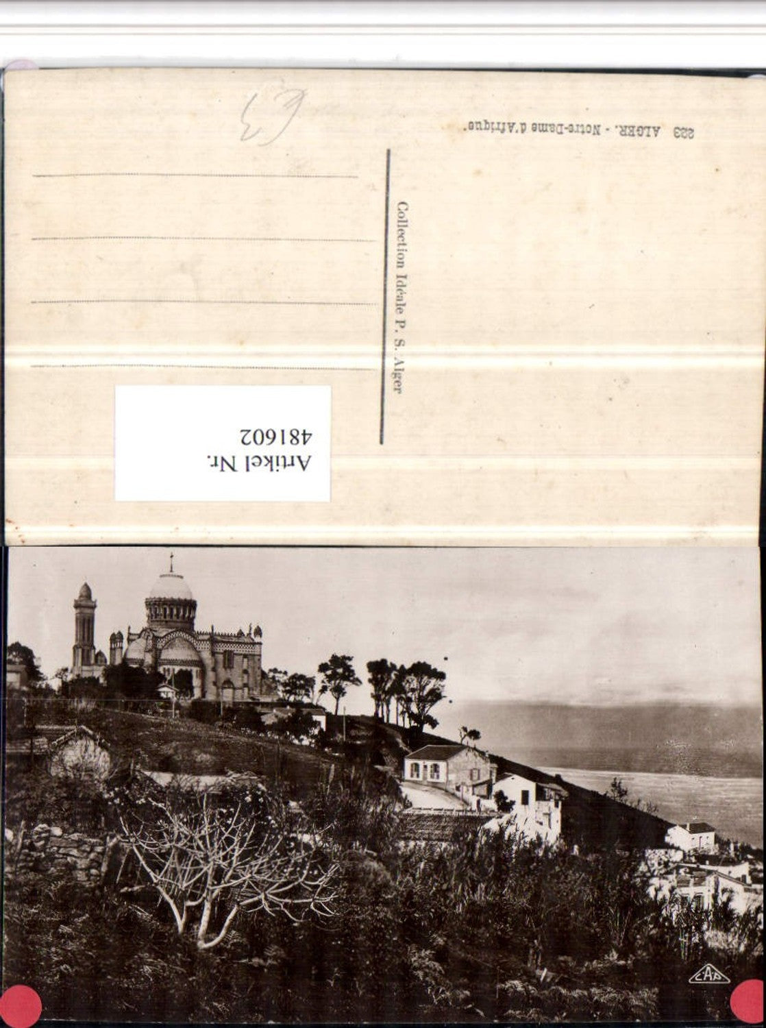 481602,Algeria Alger Algier Notre-Dame Afrique Kirche