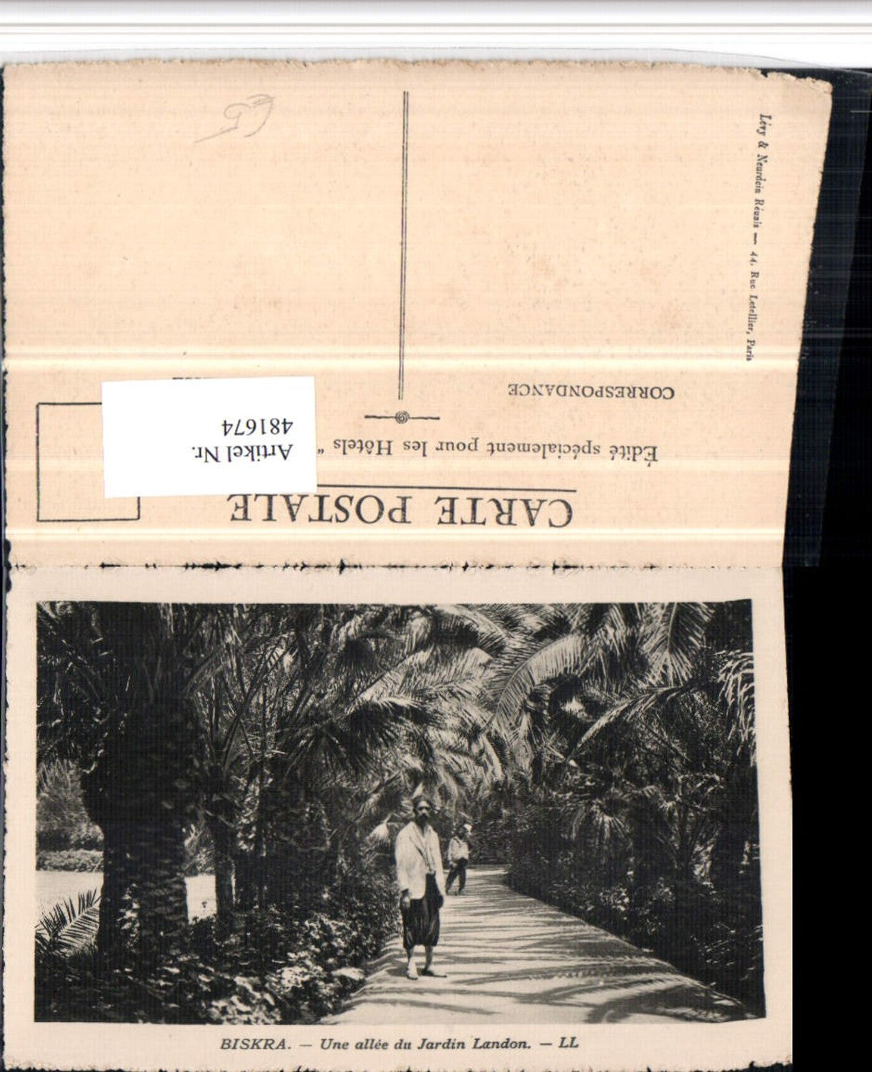 481674,Algeria Biskra Une allee du Jardin Landon Palmen