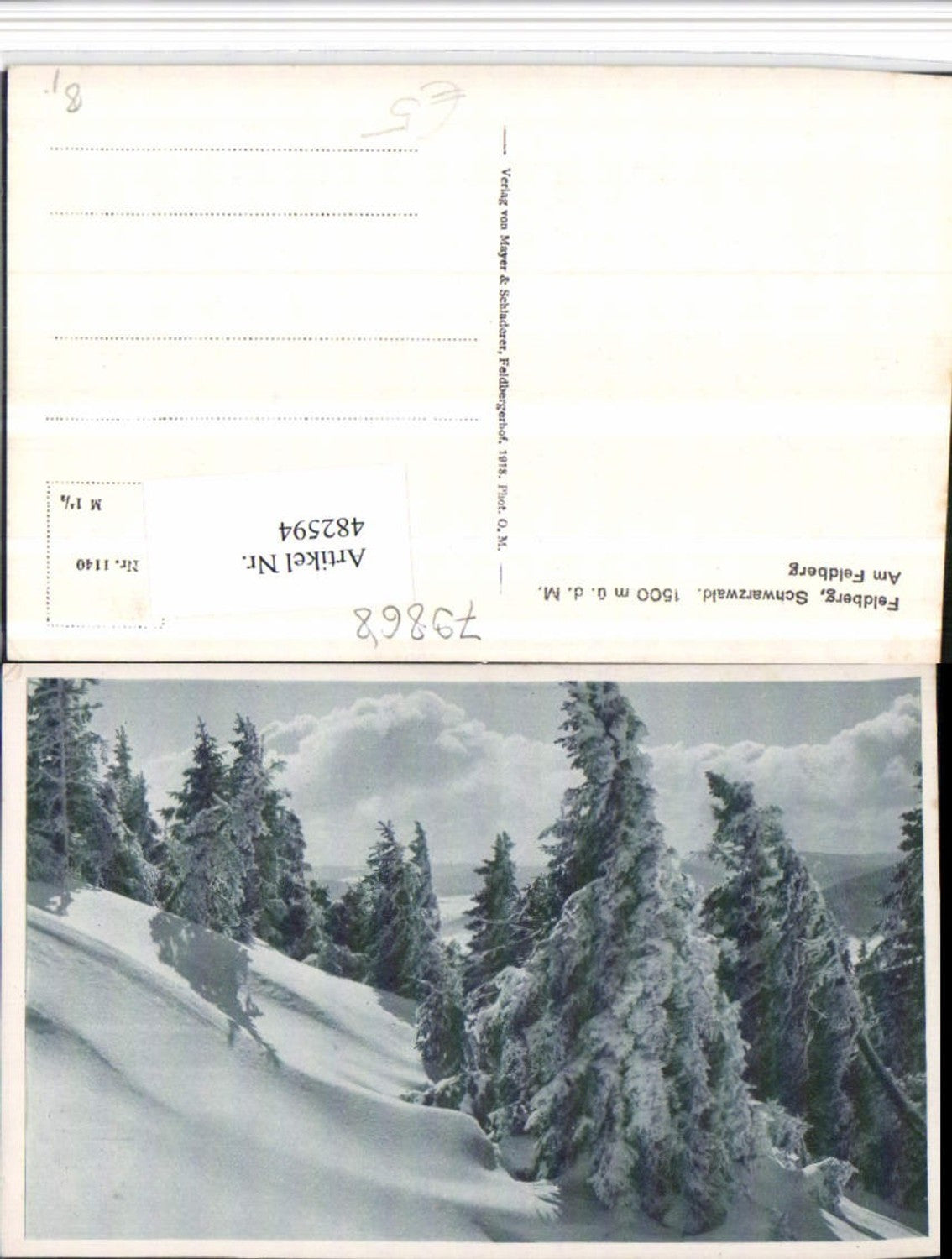 482594, Feldberg in the Black Forest, winter landscape, trees