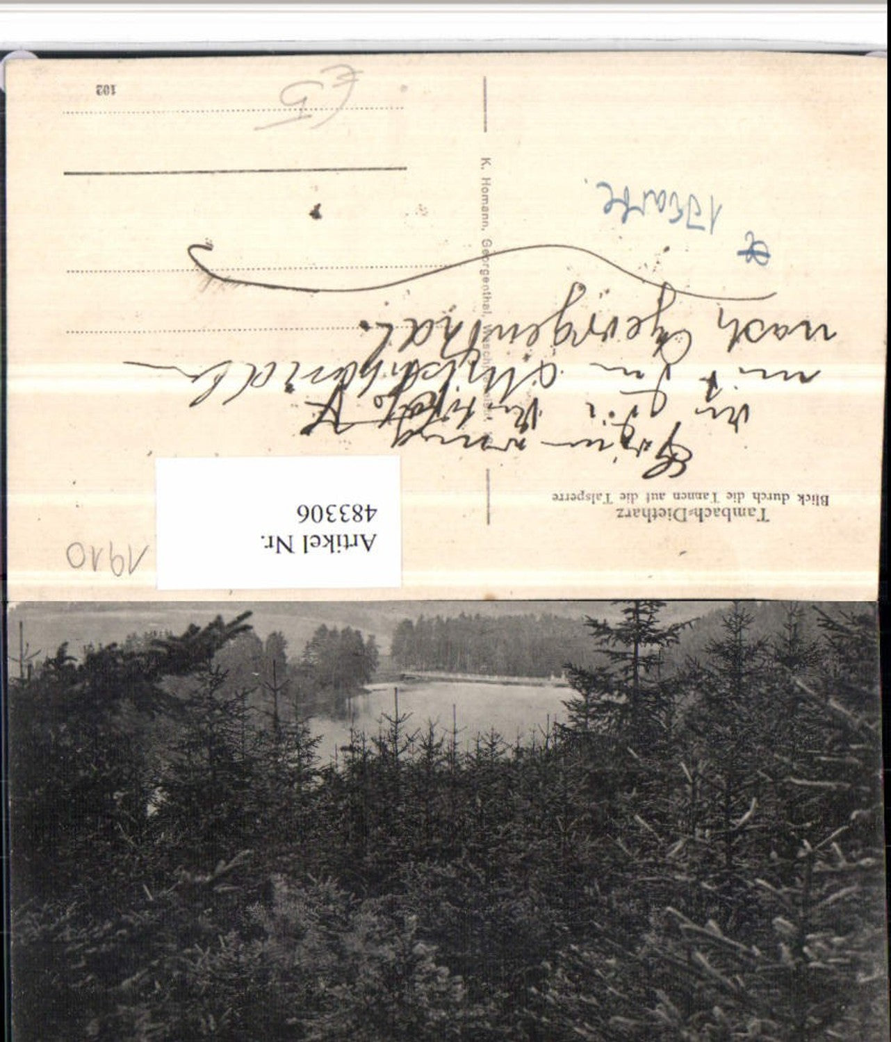 483306,Tambach-Dietharz Blick durch die Tannen auf die Talsperre