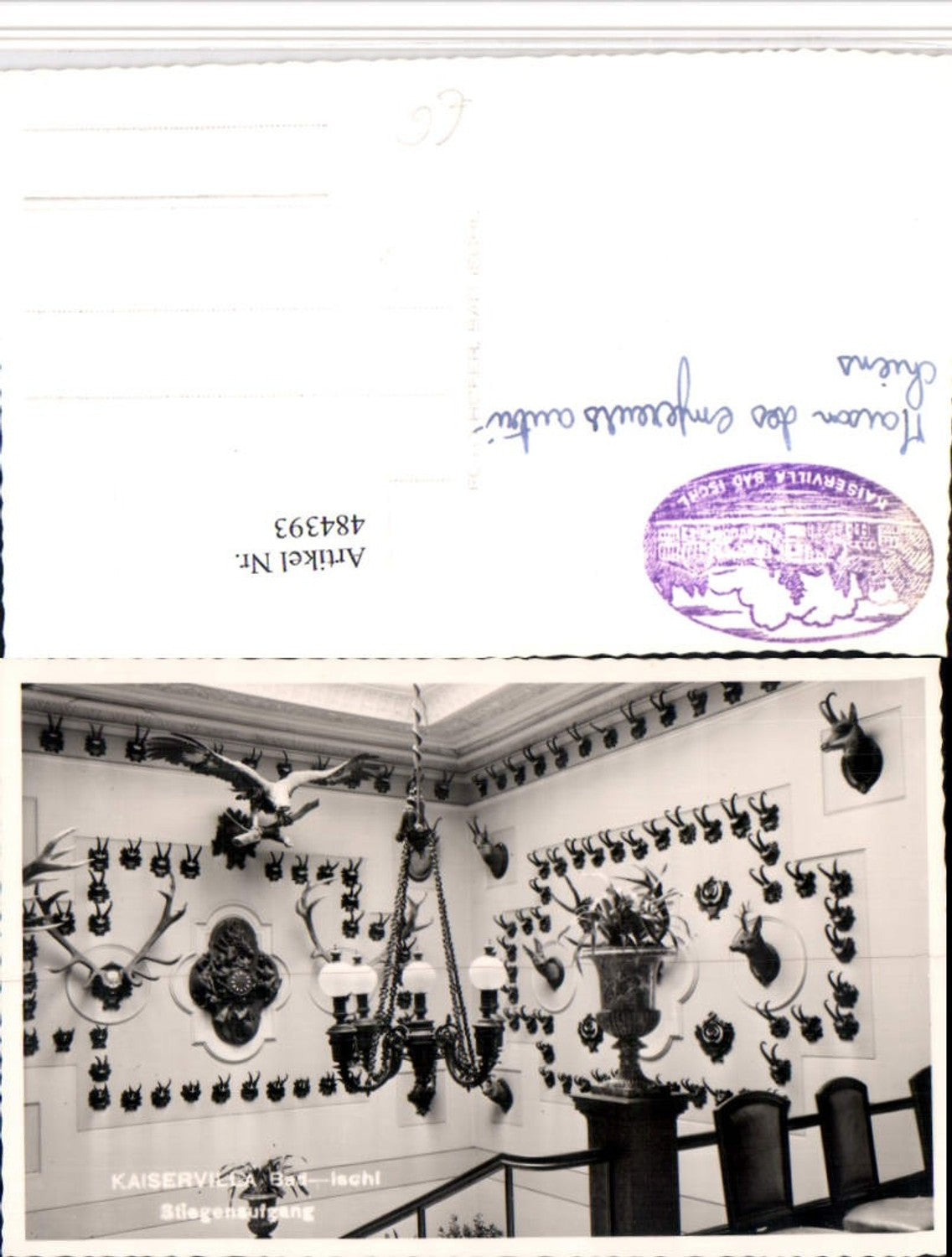 484393,Bad Ischl Kaiservilla Stiegenaufgang Trophäen