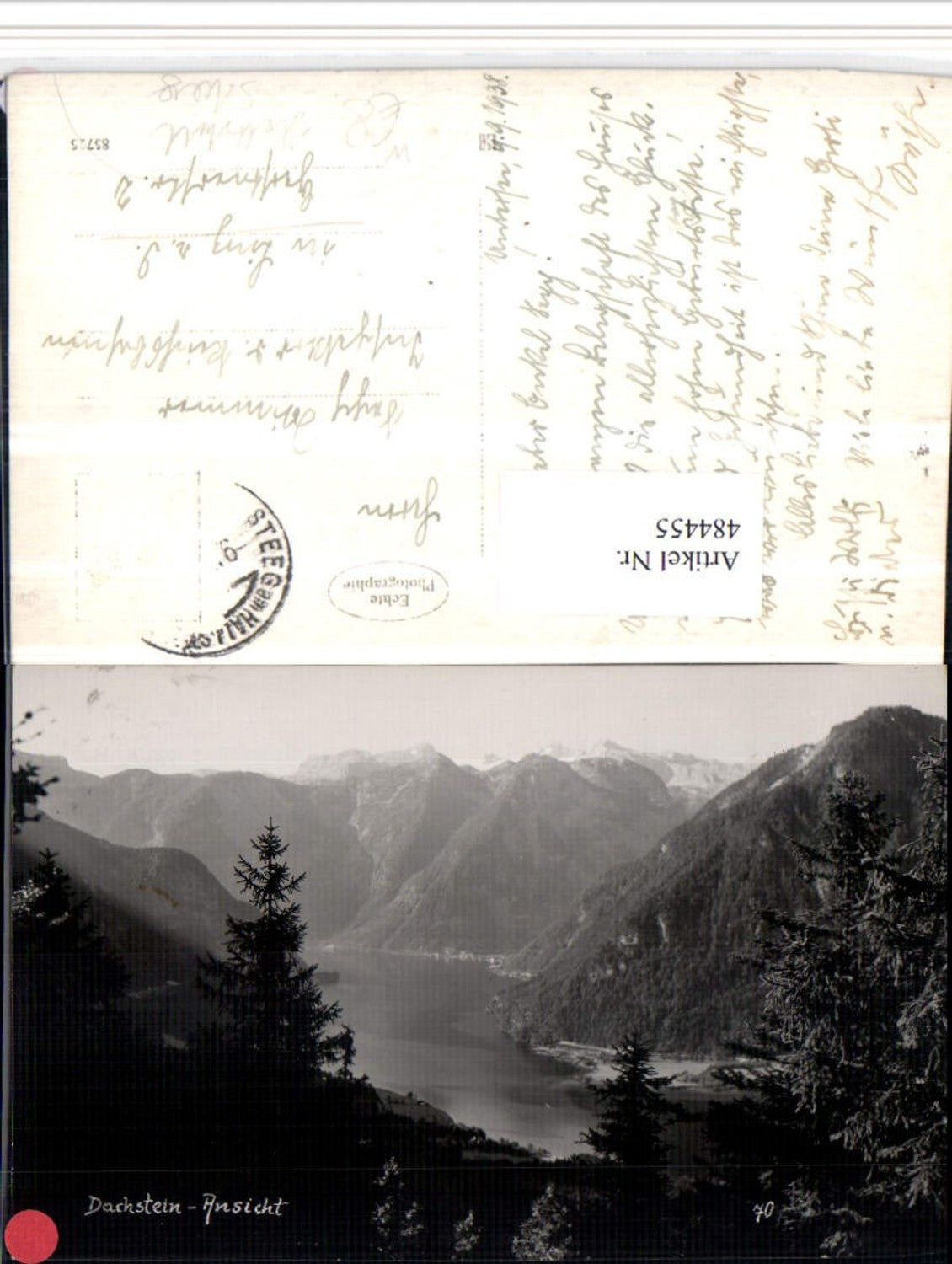 484455,Dachstein Ansicht m. Hallstatt am See Bergkulisse