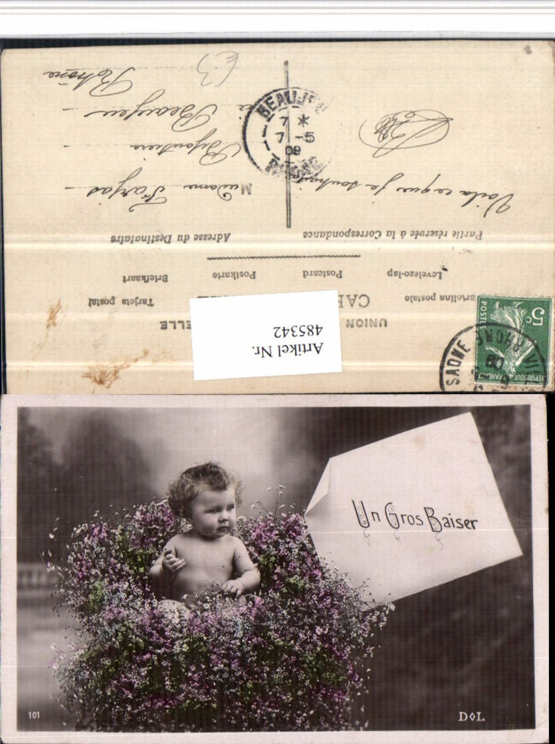 485342, Large Meringue Kiss Child Nest Flowers