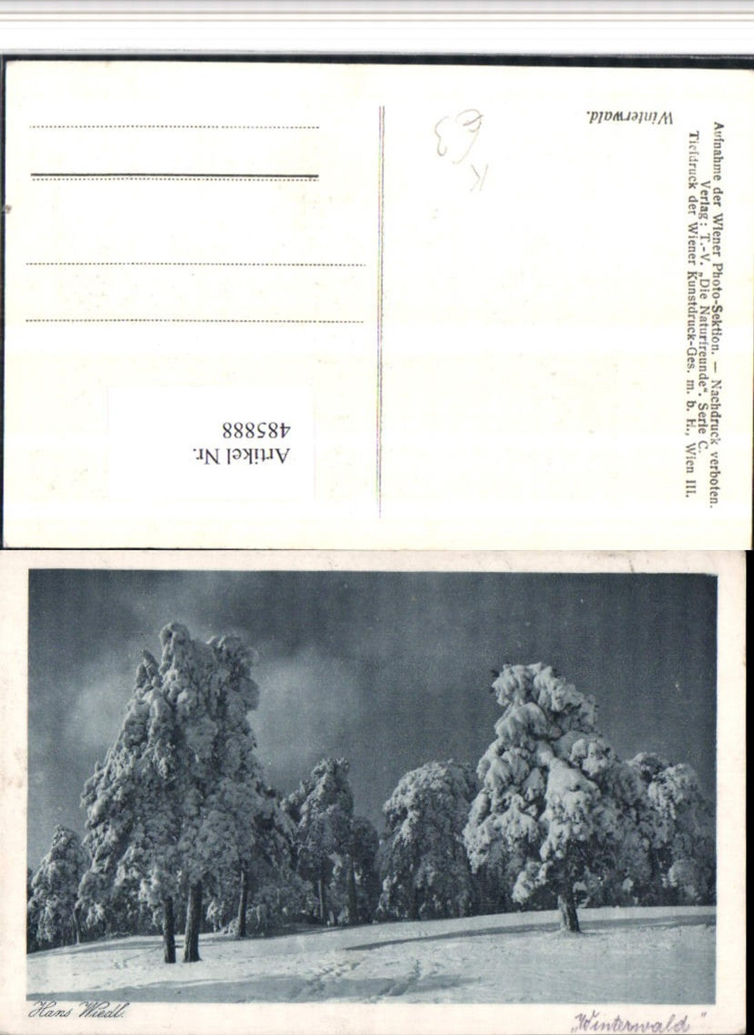 485888,Fotokunst Hans Wiedl Winterwald Wald