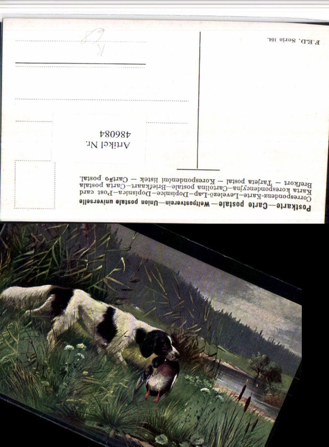 486084,Künstler AK Alfred Schönian Jagdhund Hund Tier Ente