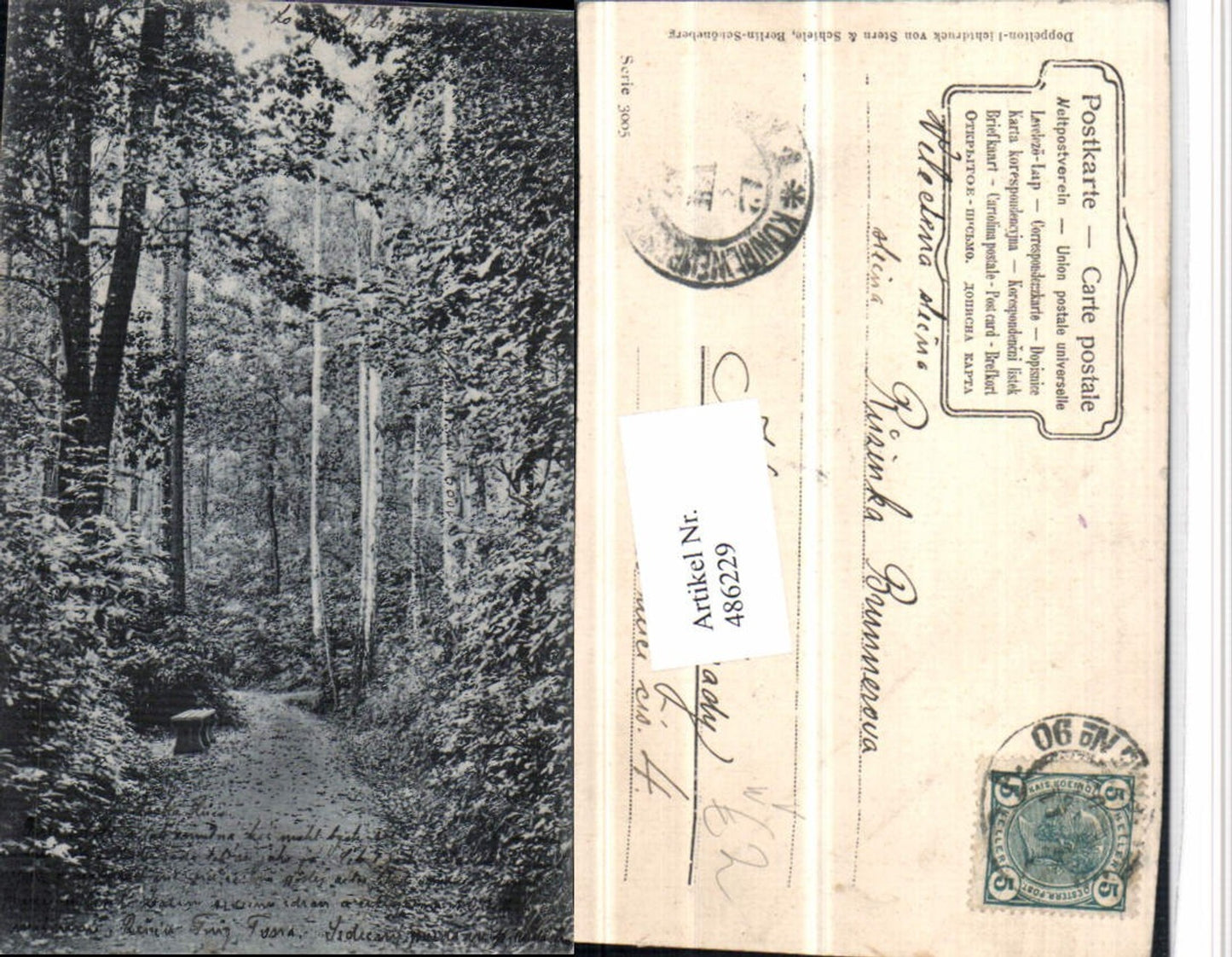 486229,Stern & Schiele Berlin-Schöneberg 3005 Wald Wegpartie