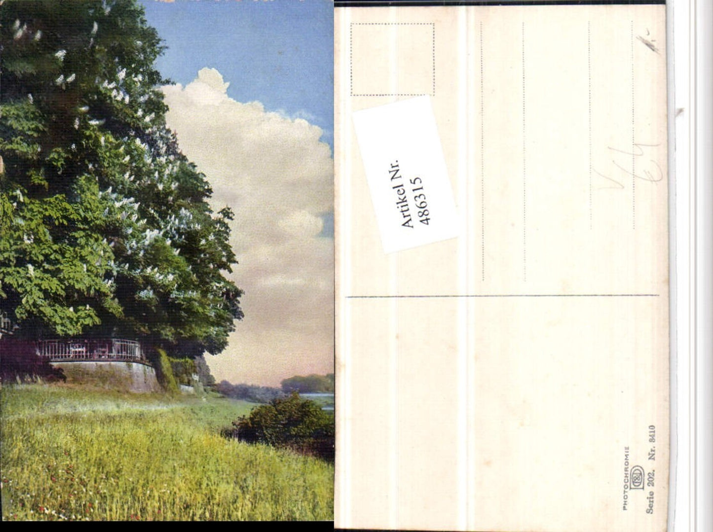 486315,Photochromie Nenke & Ostermaier 202/3410 Landschaft Wiese