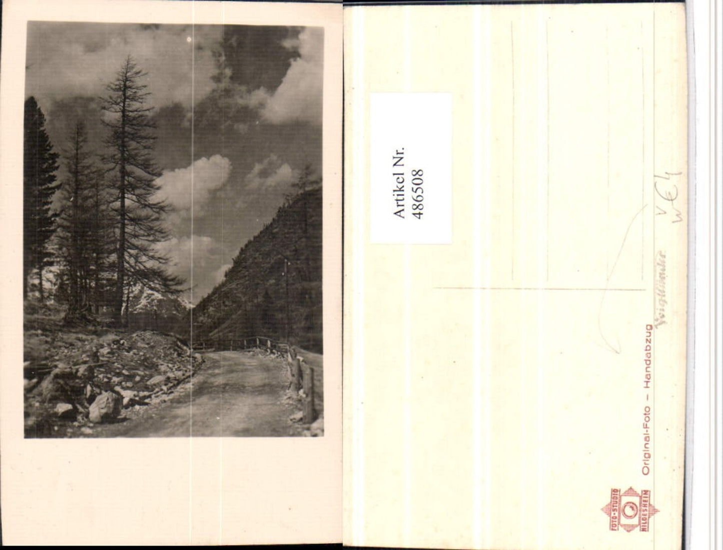 486508,Fotokunst Original Foto Handabzug Hildesheim Wegpartie Bäume