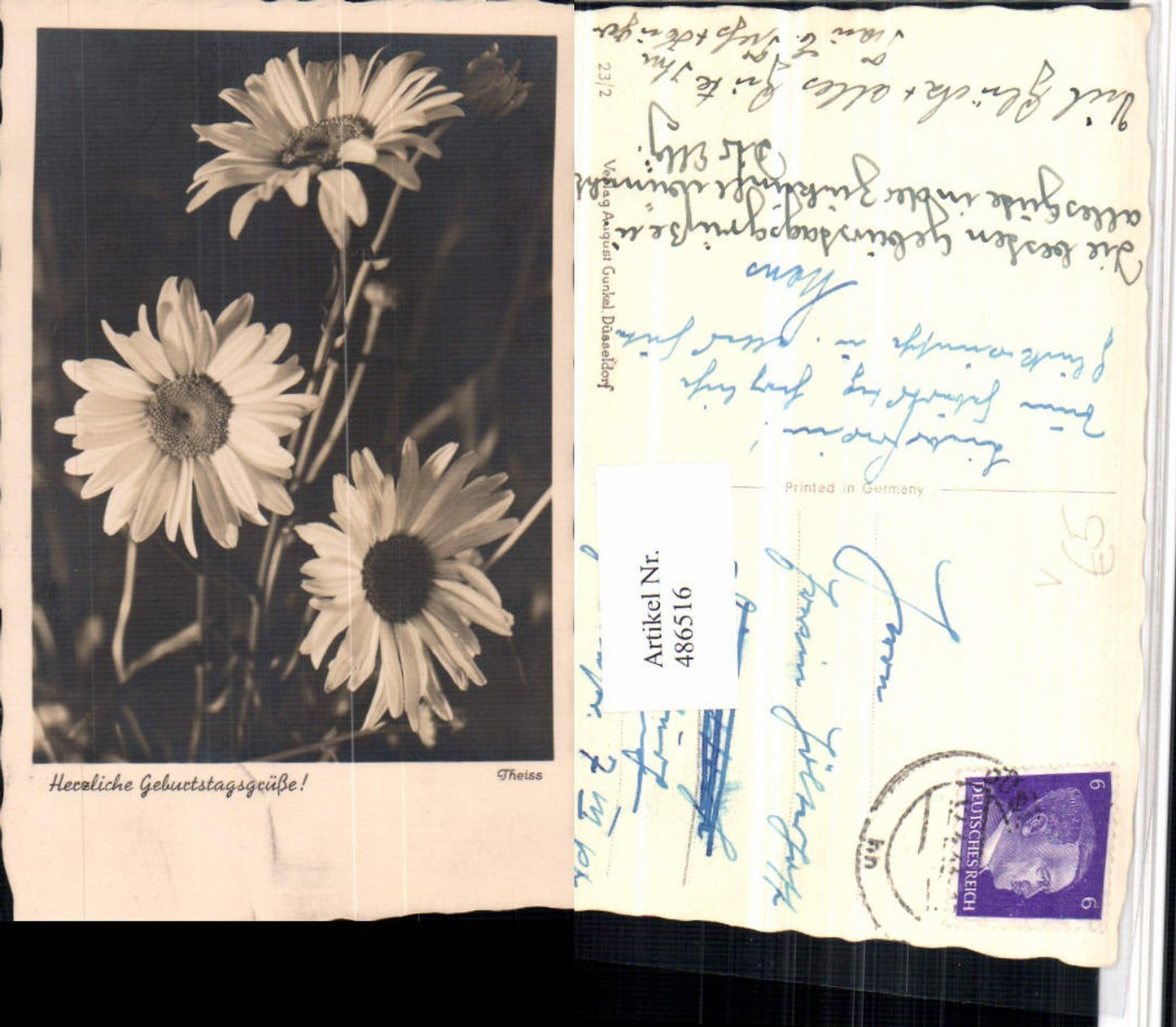 486516,Fotokunst Theiss Geburtstag Margeriten Blumen pub August Gunkel 23/2