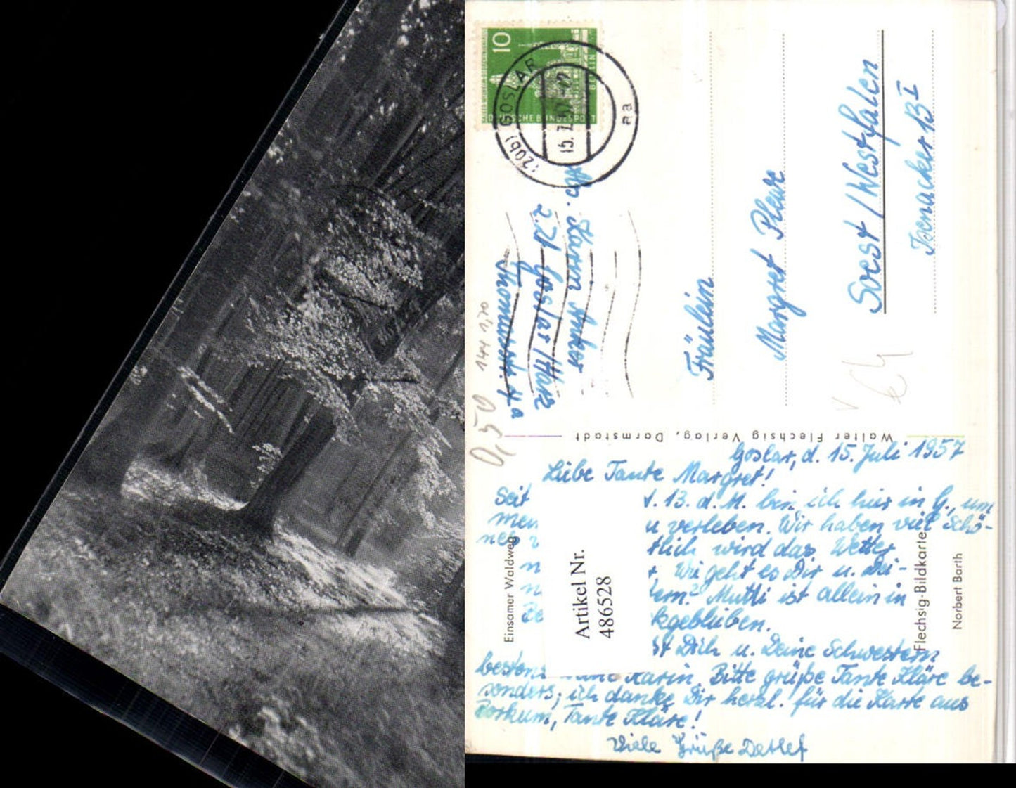 486528,Fotokunst Norbert Barth Einsamer Waldweg pub Walter Flechsig