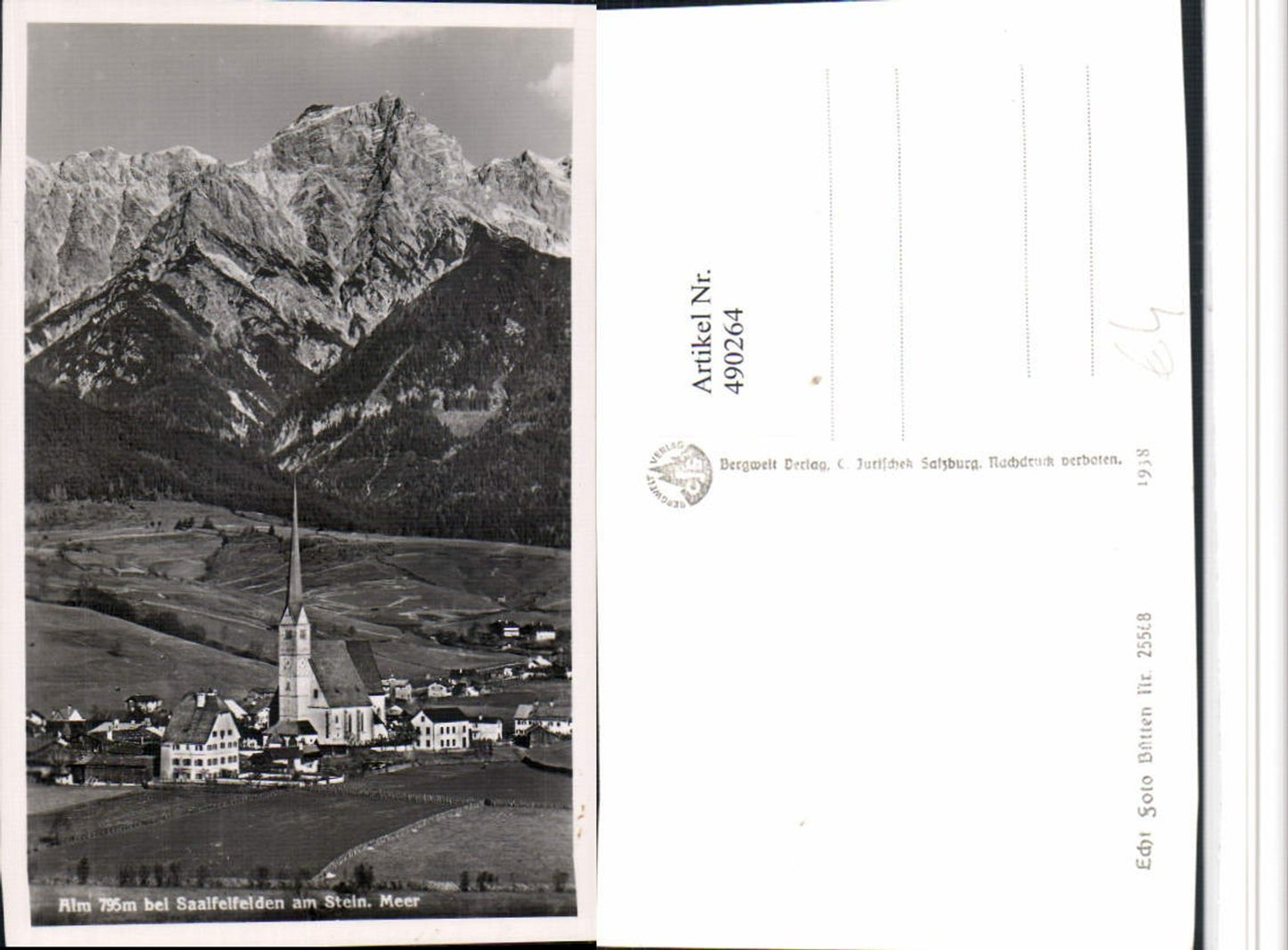 490264,Alm b. Saalfelden am Steinernen Meer Totale Bergkulisse