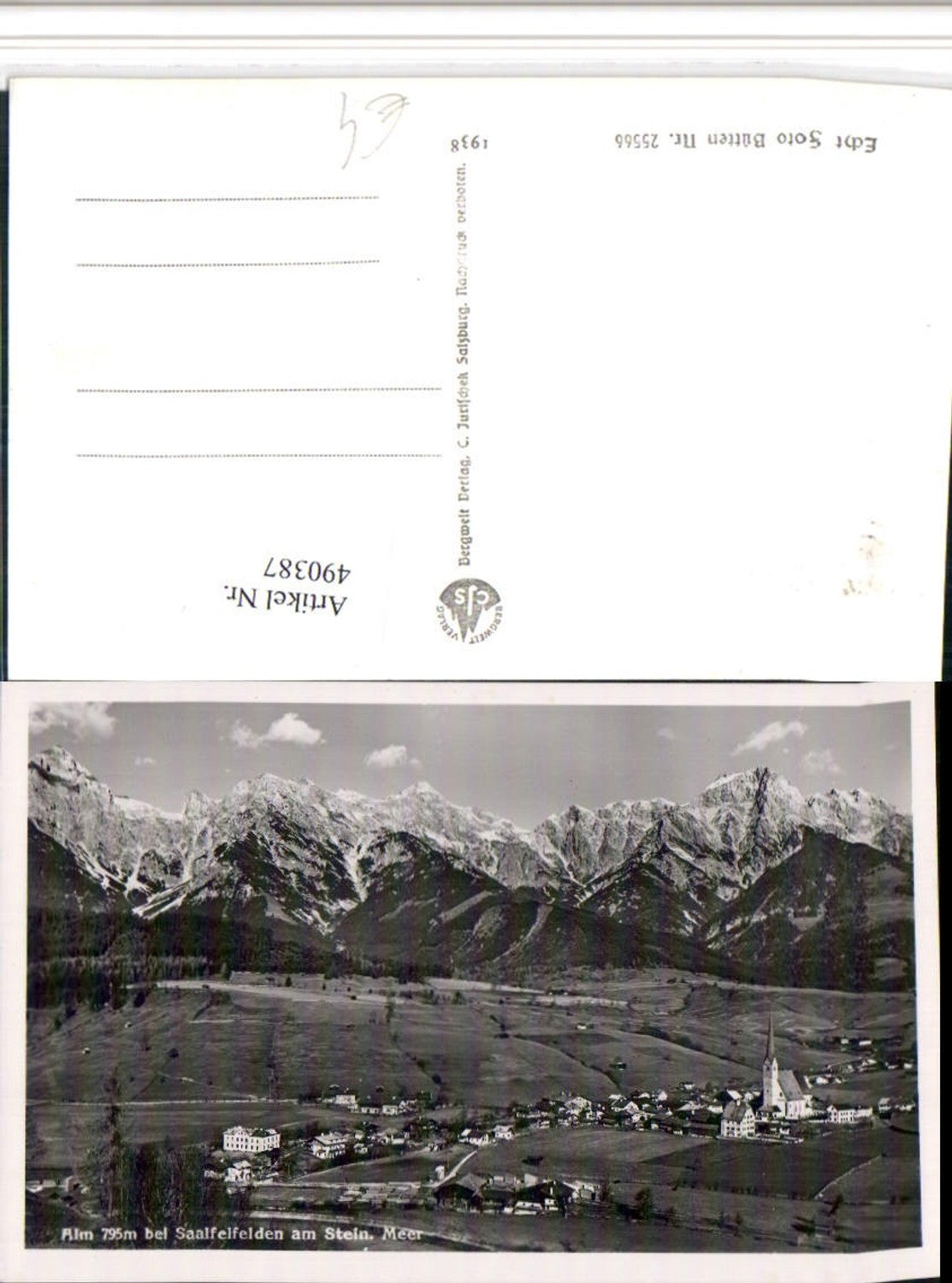 490387,Alm b. Saalfelden am Steinernen Meer Totale Bergkulisse