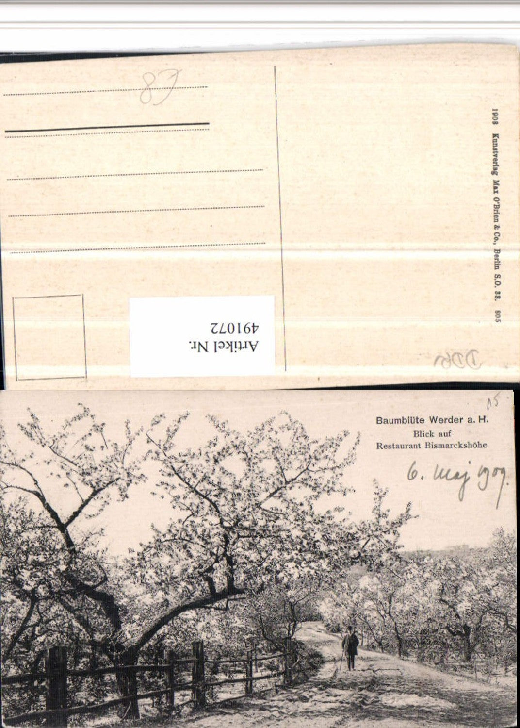 491072, Werder an der Havel, blossoming trees, view of Restaurant Bismarckshöhe