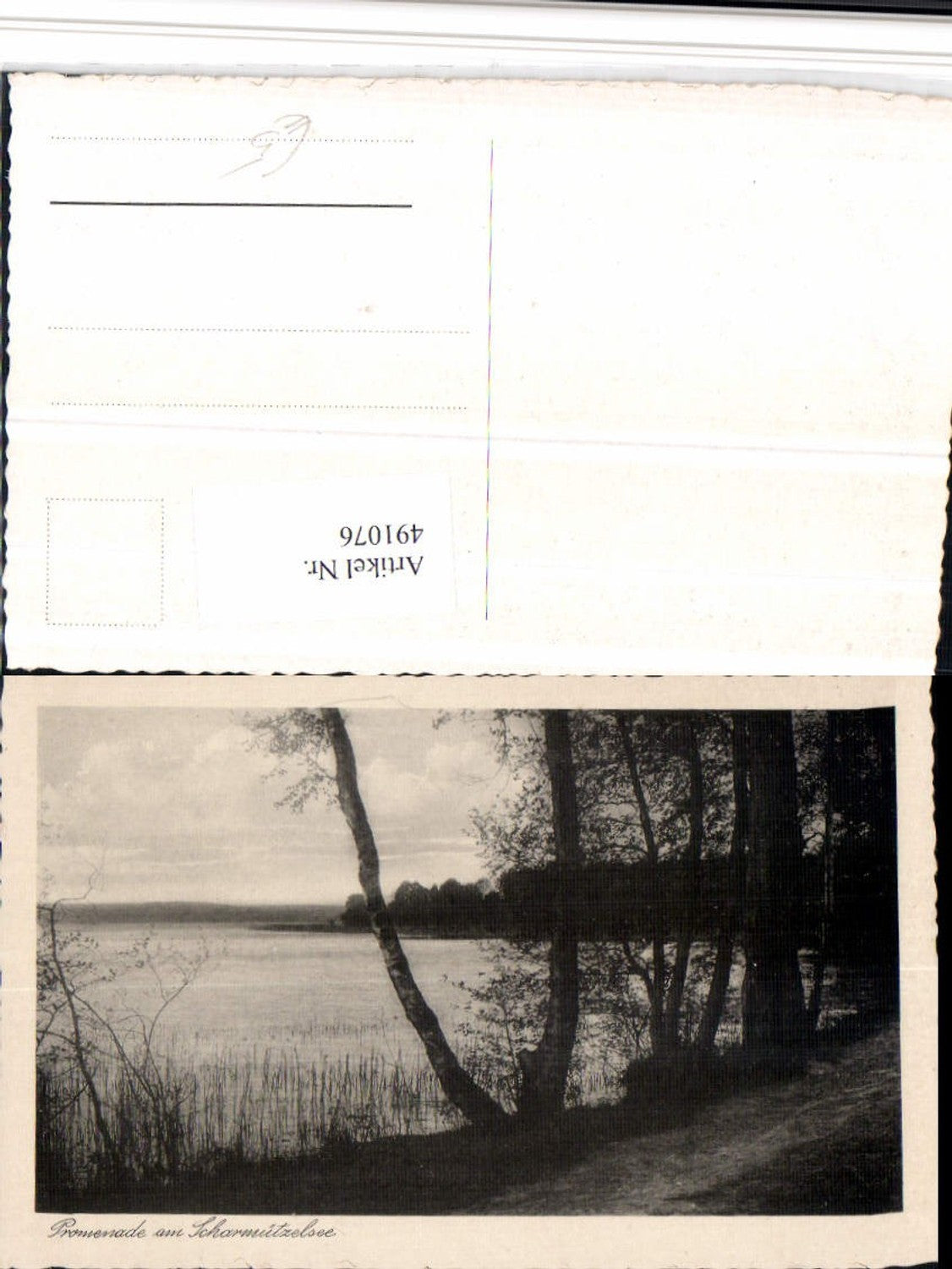 491076, Promenade am Scharmützelsee See near Bad Saarow