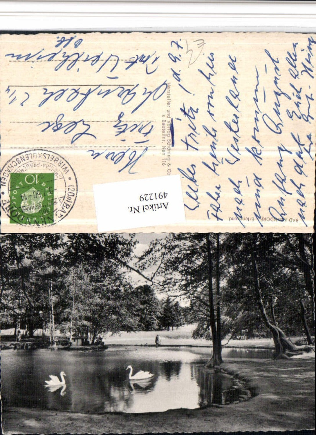 491229,Bad Nenndorf Erlengrund Teich Schwäne