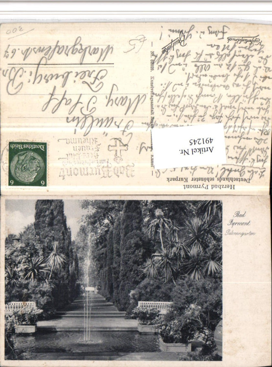 491245,Bad Pyrmont Palmengarten Palmen