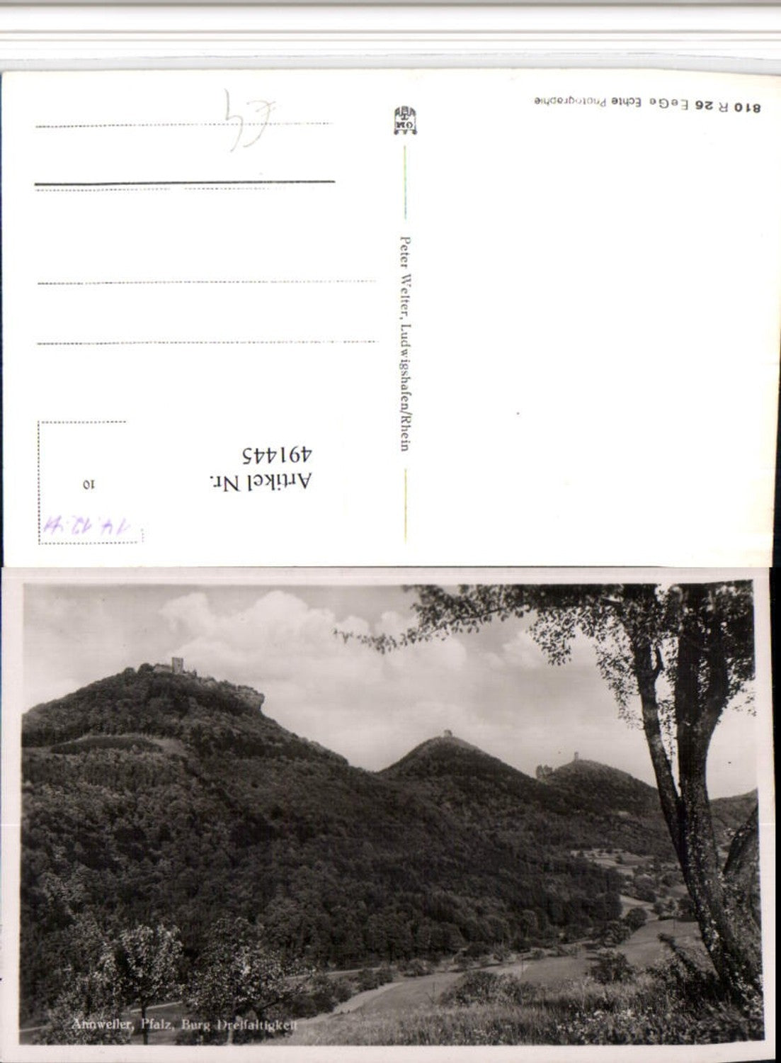 491445,Annweiler in d. Pfalz Burg Dreifaltigkeit