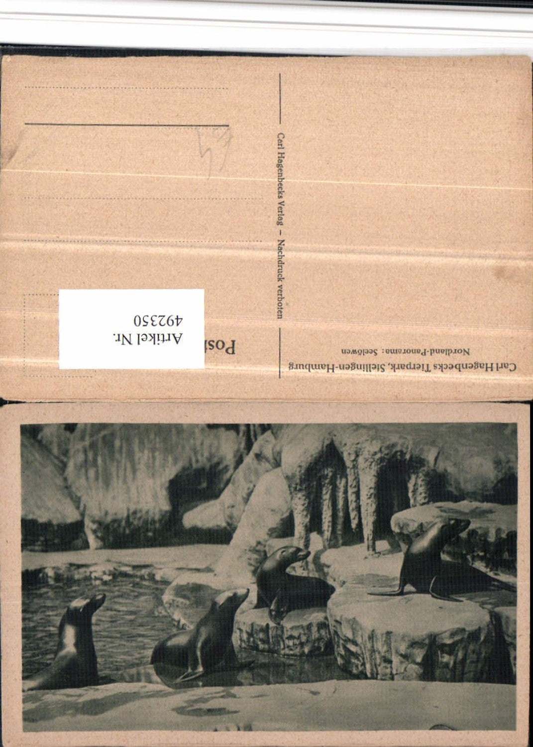 492350,Hamburg Stellingen Carl Hagenbecks Tierpark Nordland Seelöwen