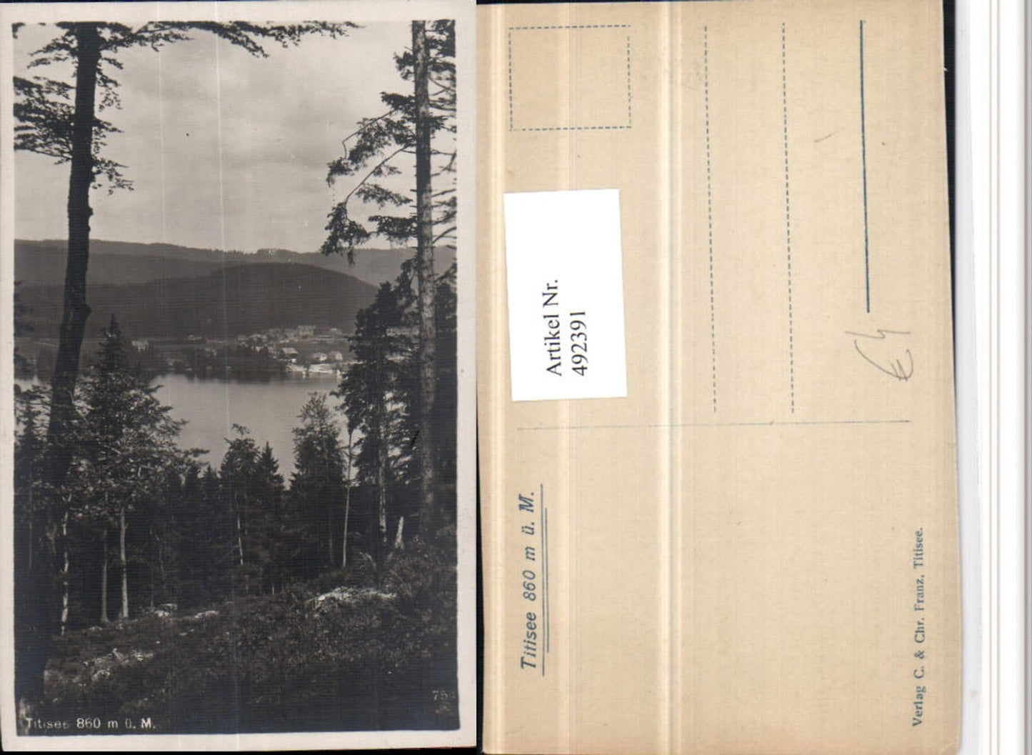 492391, Titisee Lake in the Black Forest